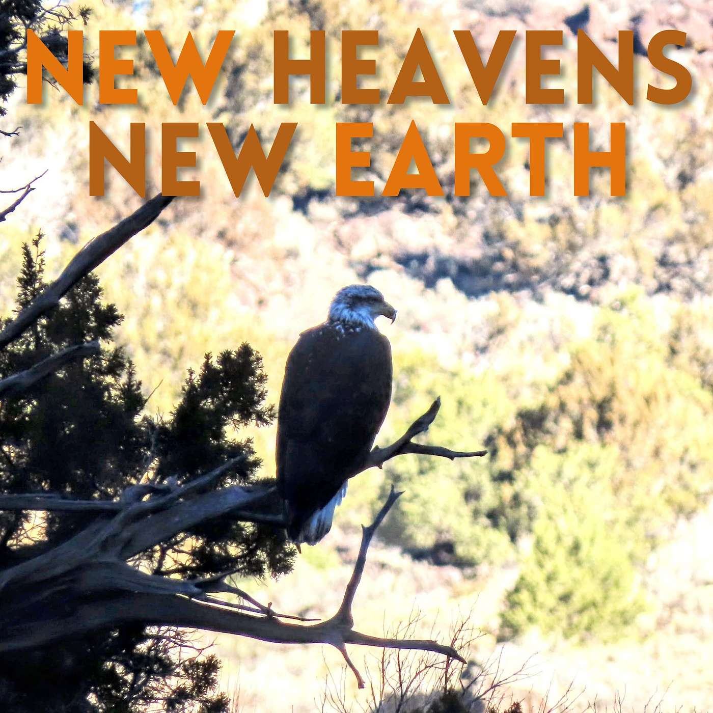 New Heavens, New Earth episode artwork