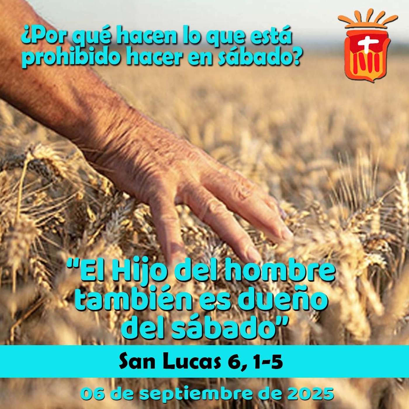 2025-09-06 San Lucas 6, 1-5: Sábado XXII Ordinario