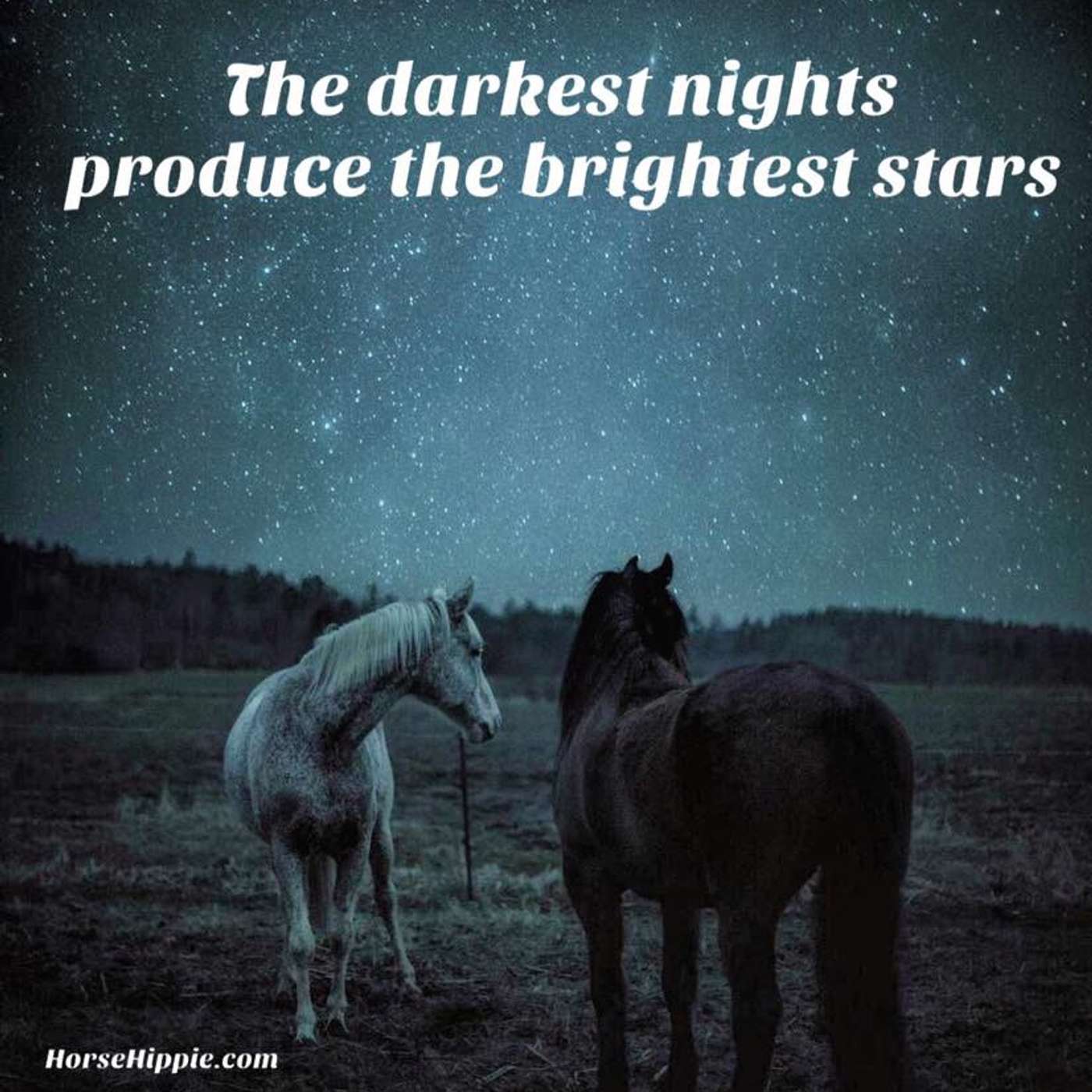 It’s In The Dark That You Can See The Light episode artwork