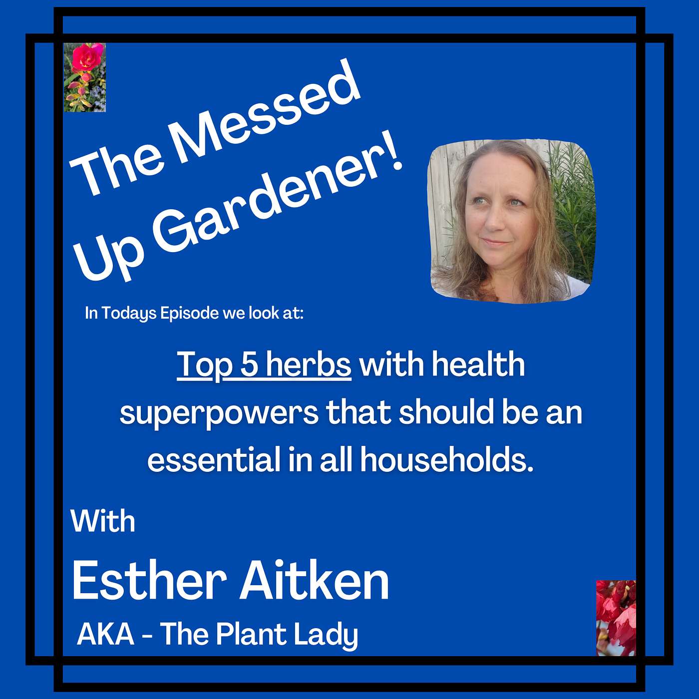 Ep14 – Top 5 herbs with healthy superpowers that should be an essential in all households.