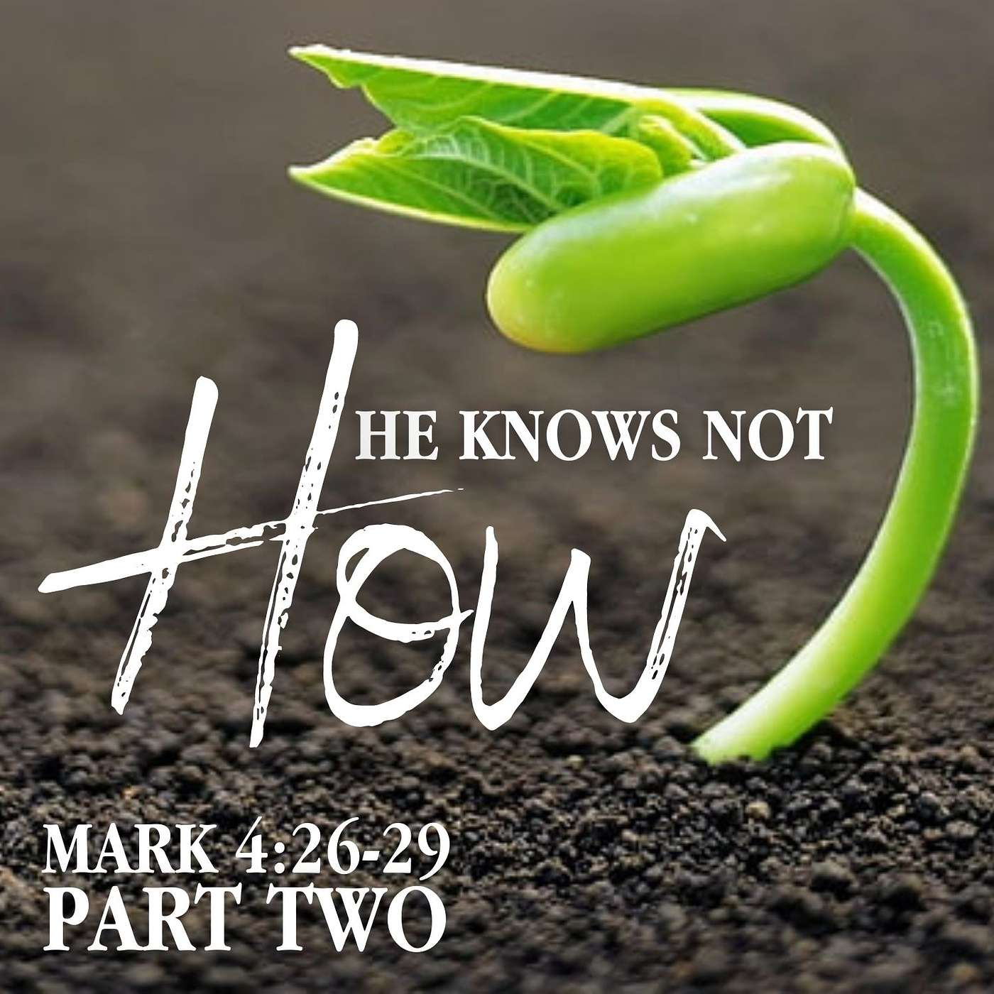 He Knows Not How, Part 2; Mark 4:26-29