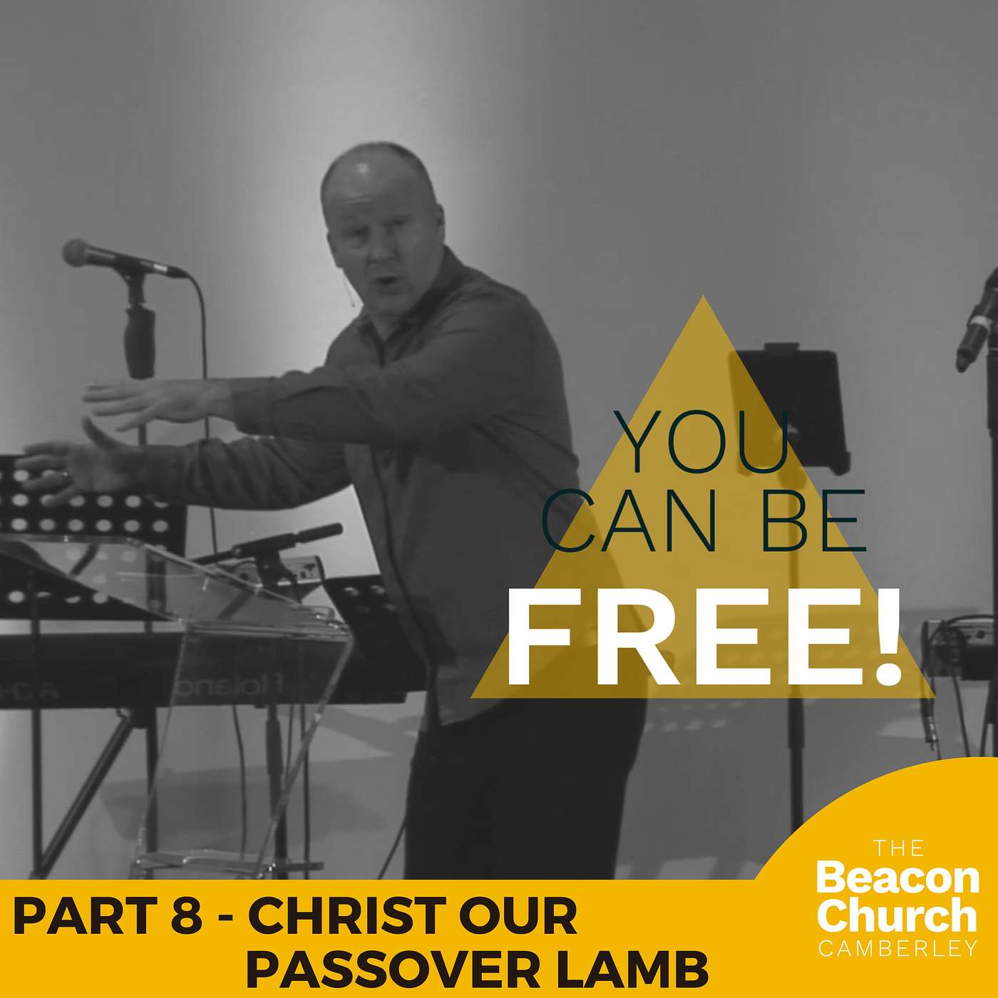 Part 8 - Christ Our Passover Lamb | You Can Be Free! | Exodus 12 episode artwork