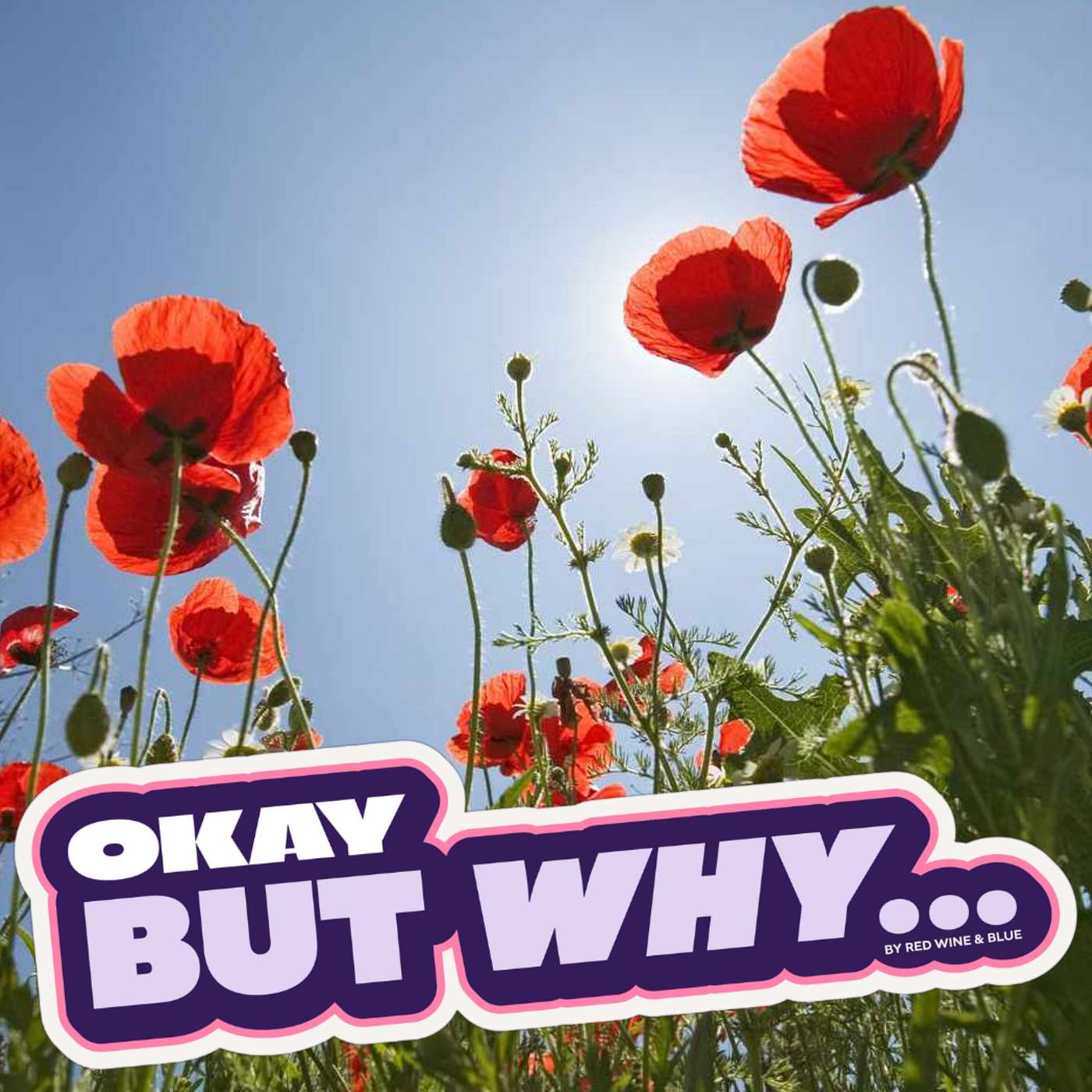 Okay, But Why Does Your Garden Matter?