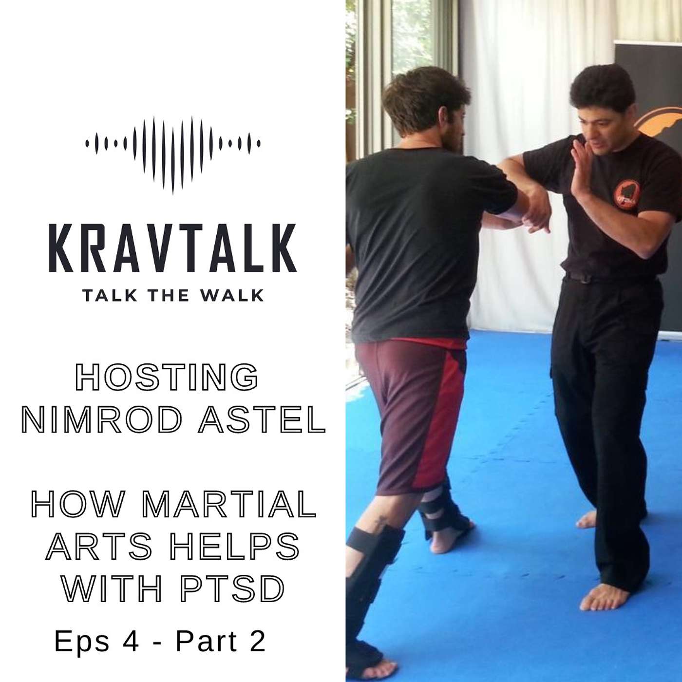 Nimrod Astel - Healing Combat Warriors With PTSD