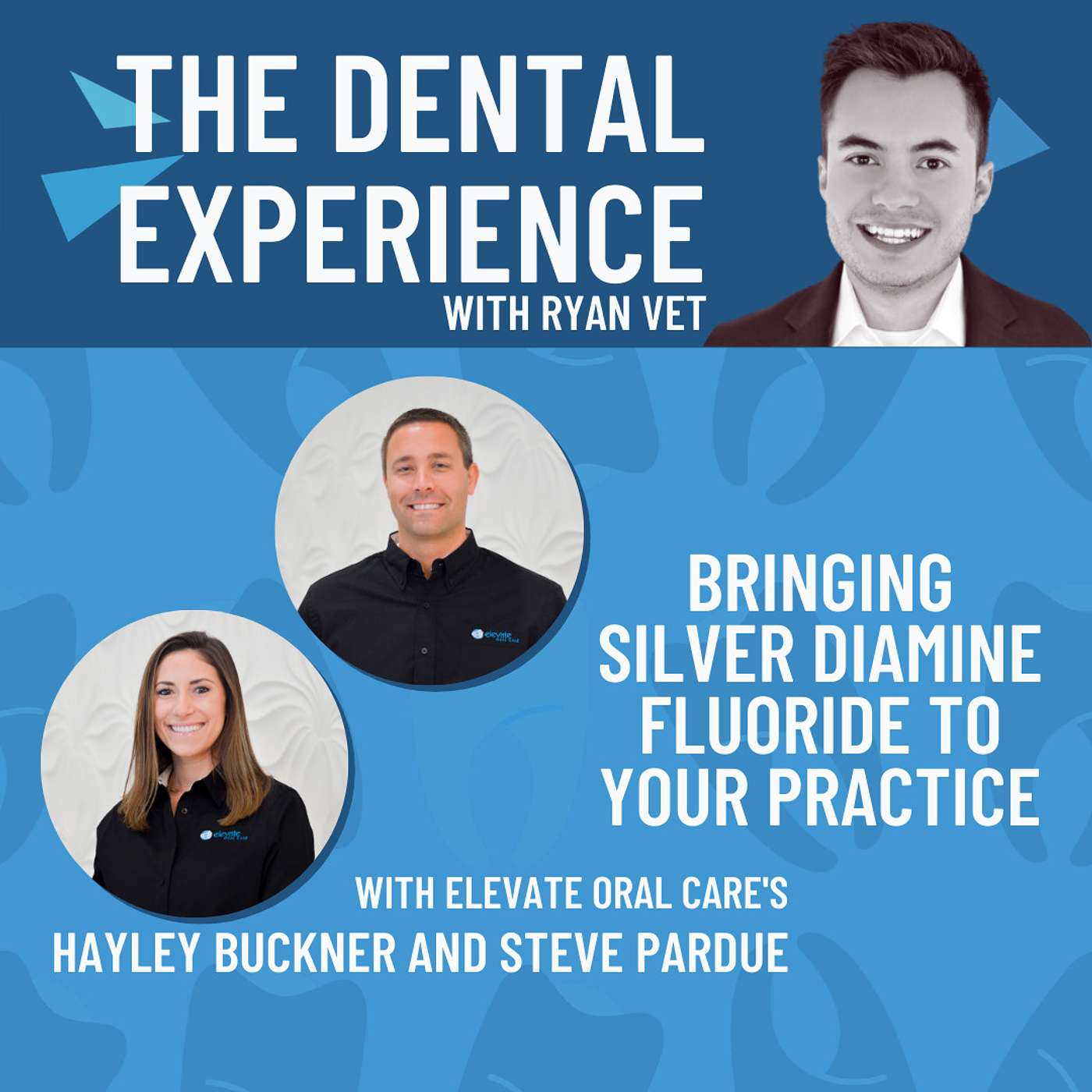 The Dental Experience Podcast with Ryan Vet