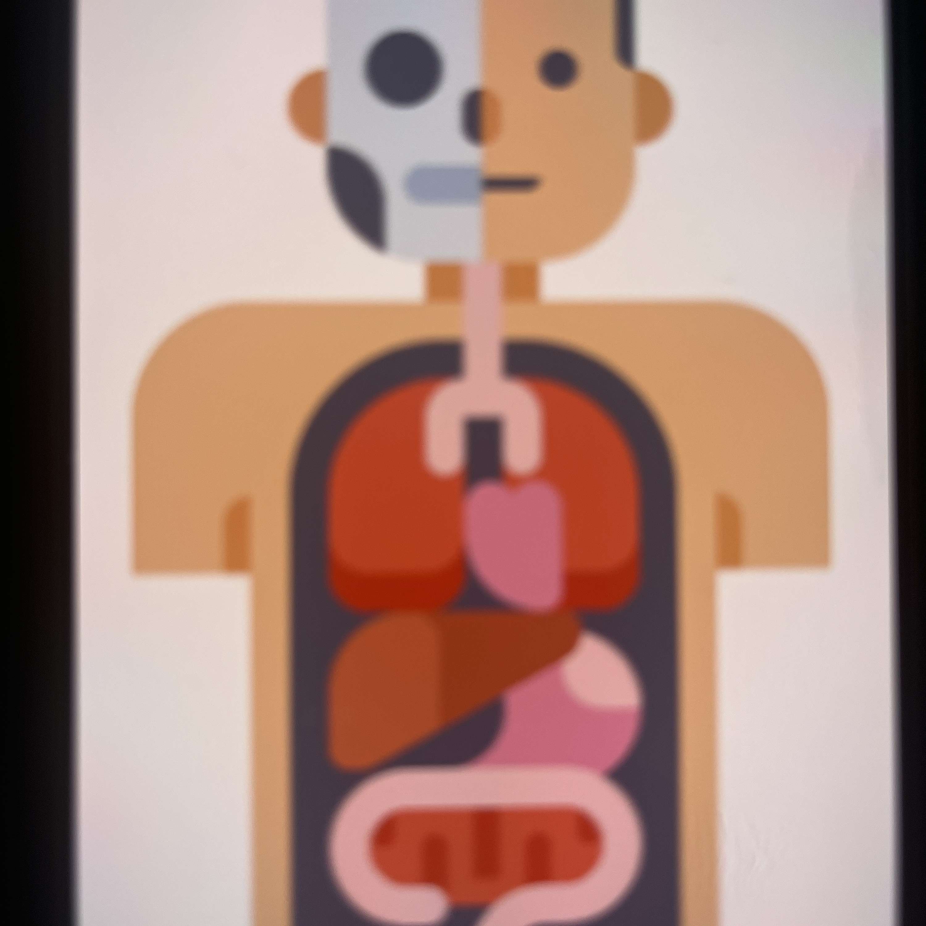 Anatomy and physiology