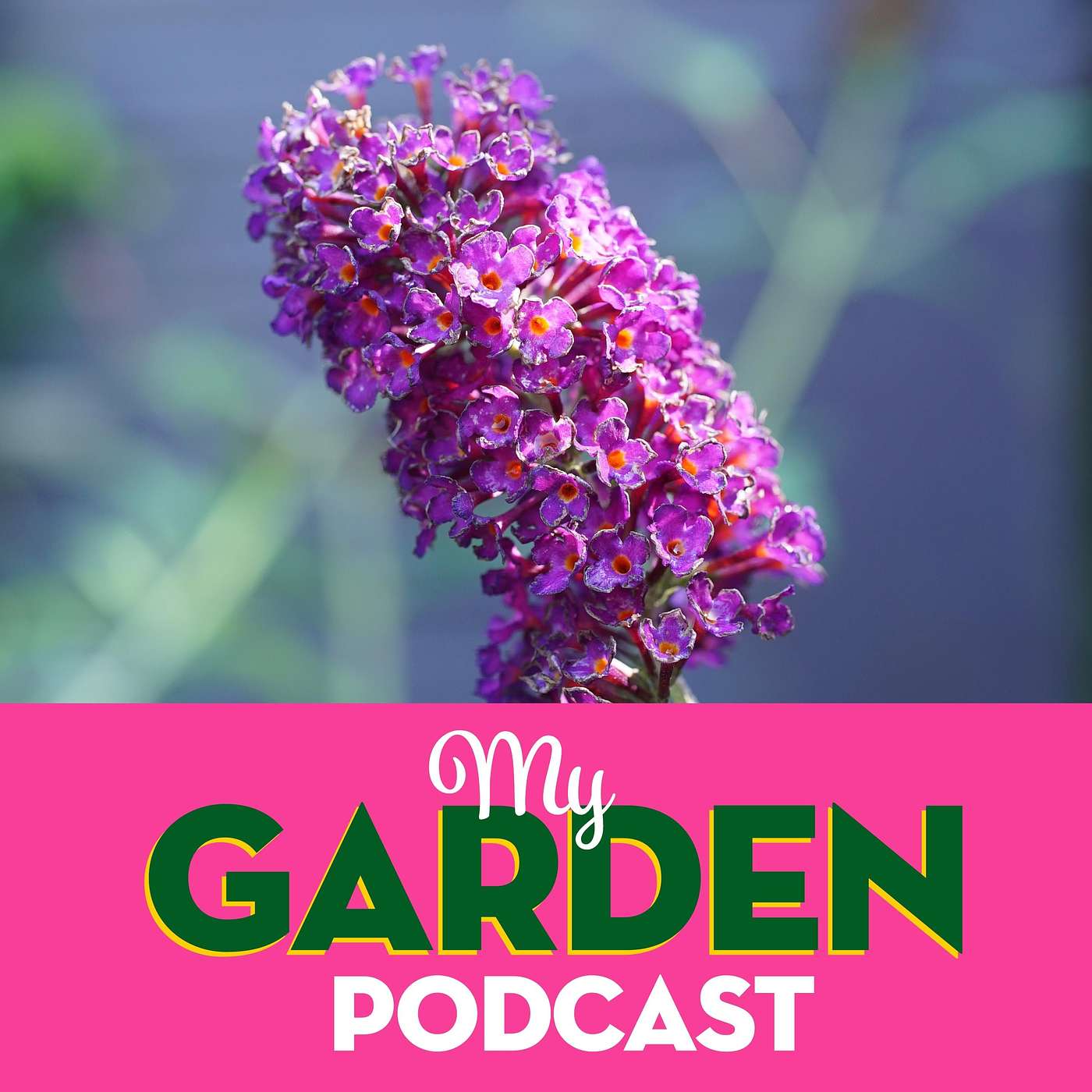 My Garden Podcast - Gardening Podcast