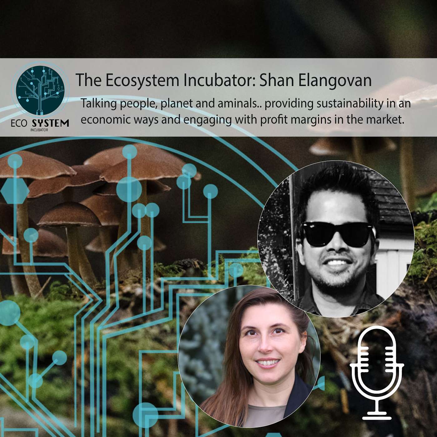 The Ecosystem Incubator, working with sustainability and economy of scale - Shan Elangovan from CEAE