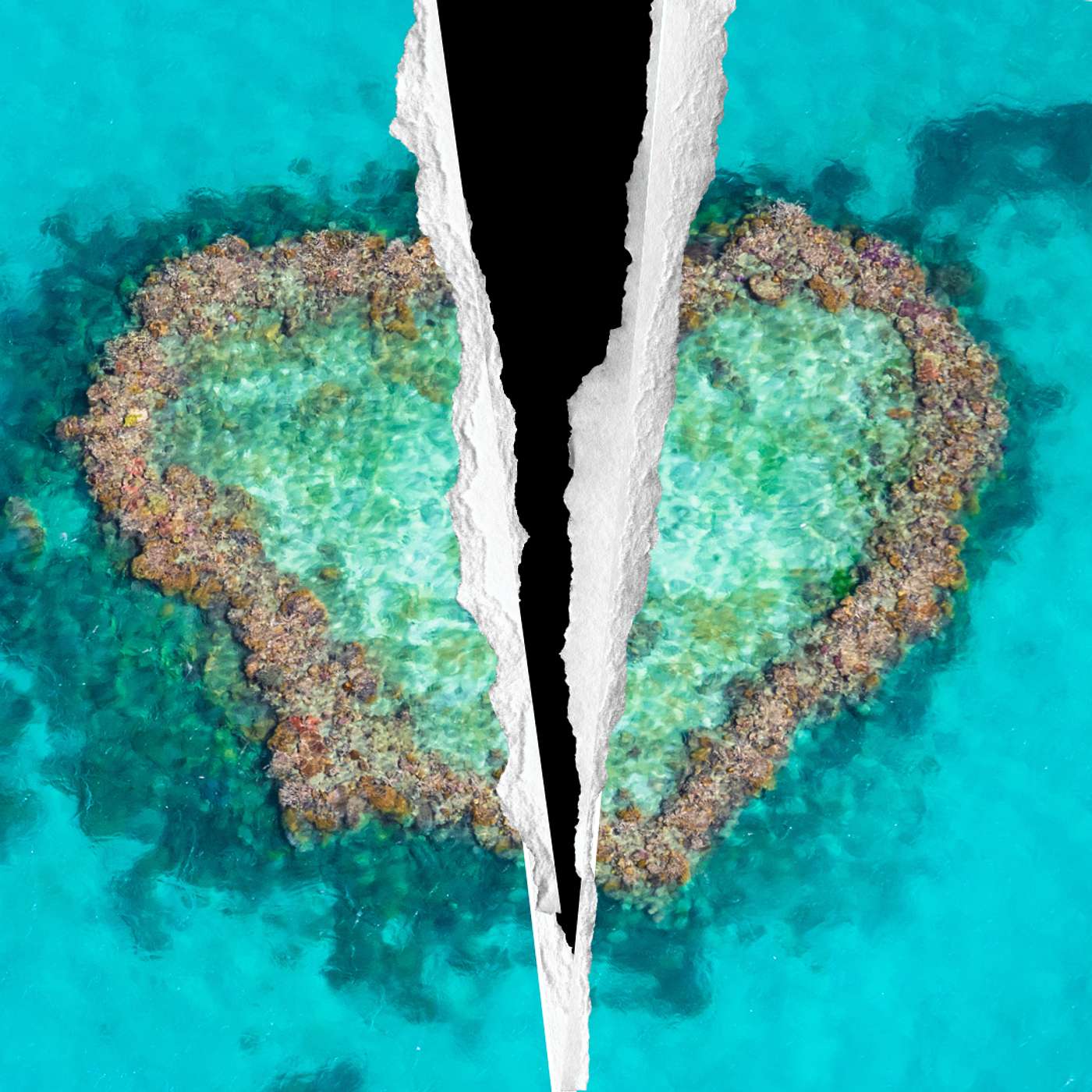 S3 E5: Eco-Grief: Why Loving Nature Can Hurt - and What To Do About It [EXTENDED DIVE] episode artwork