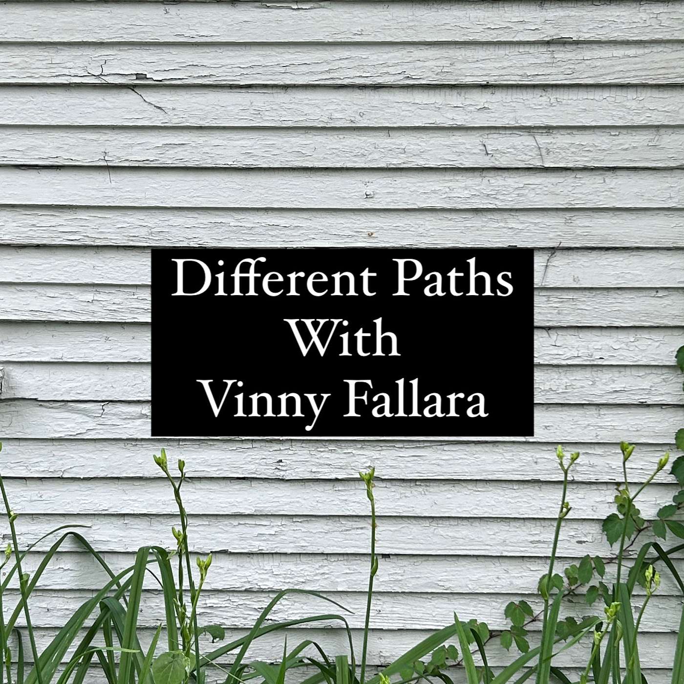 Different Paths with Vinny Fallara