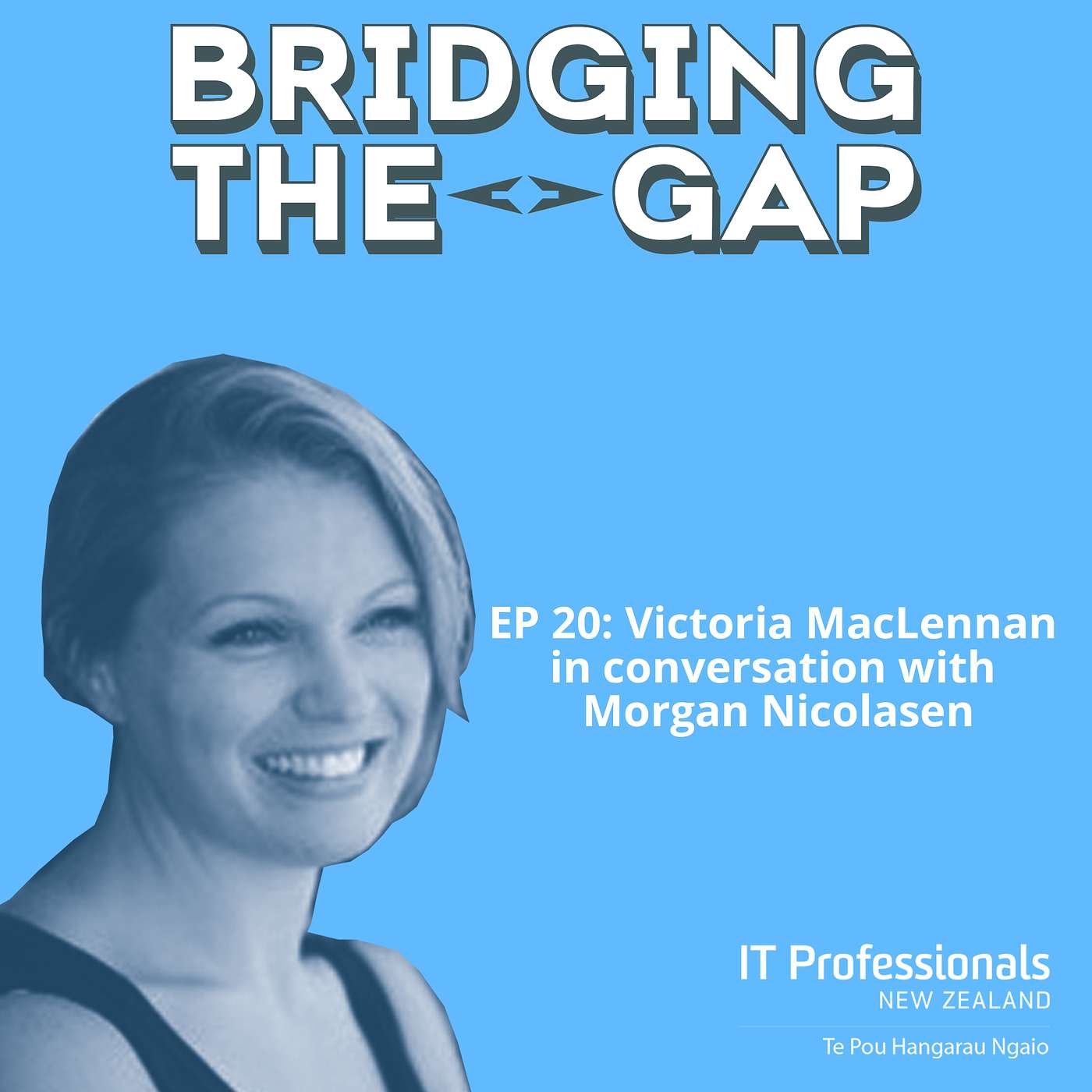 Bridging The Gap