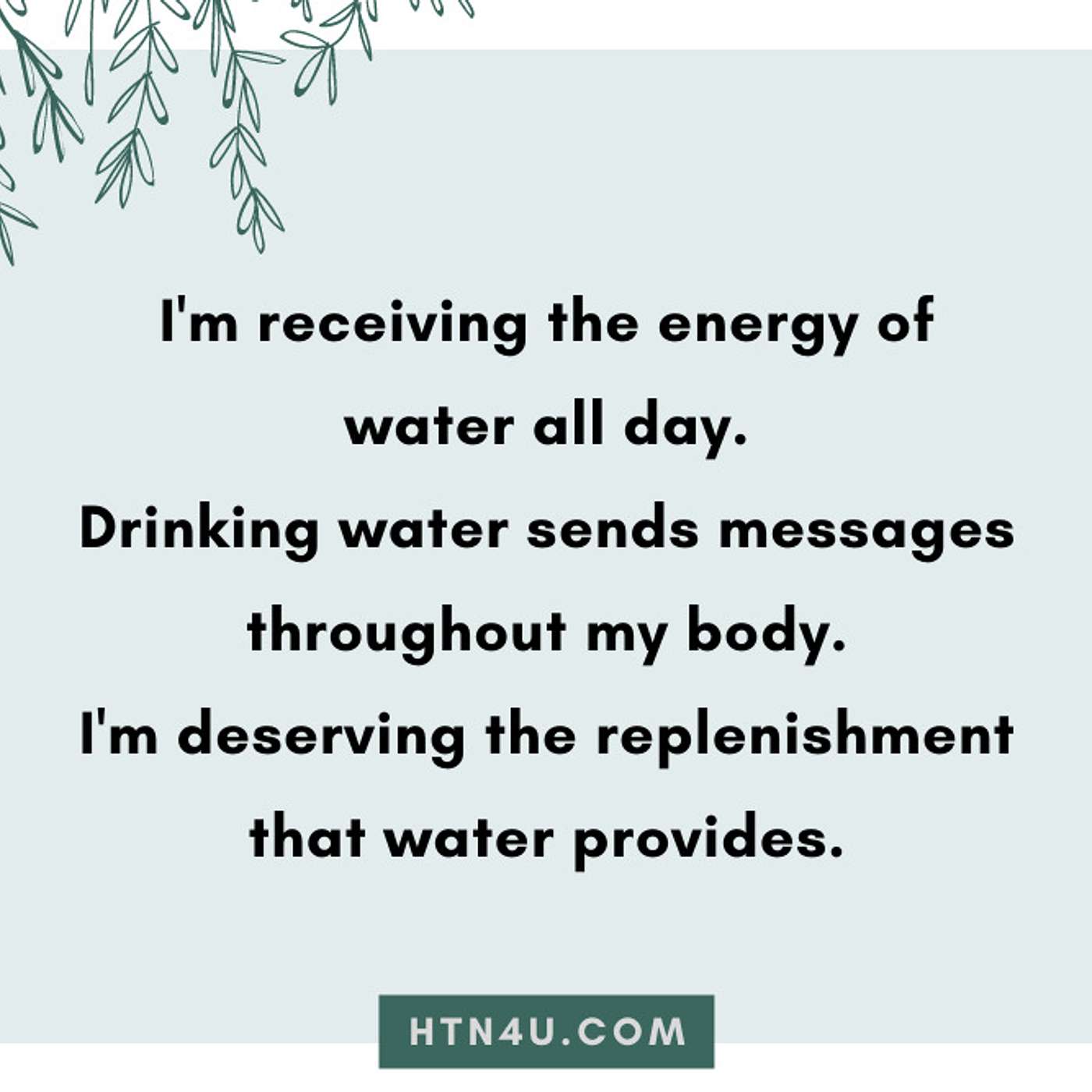 HTN4U Ulimiting Affirmations on Hydration #112