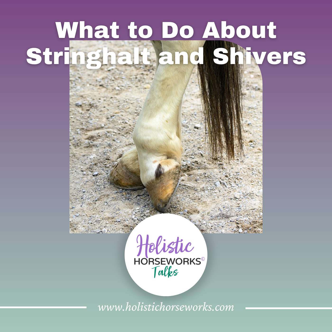Holistic Horseworks Talks with April Love
