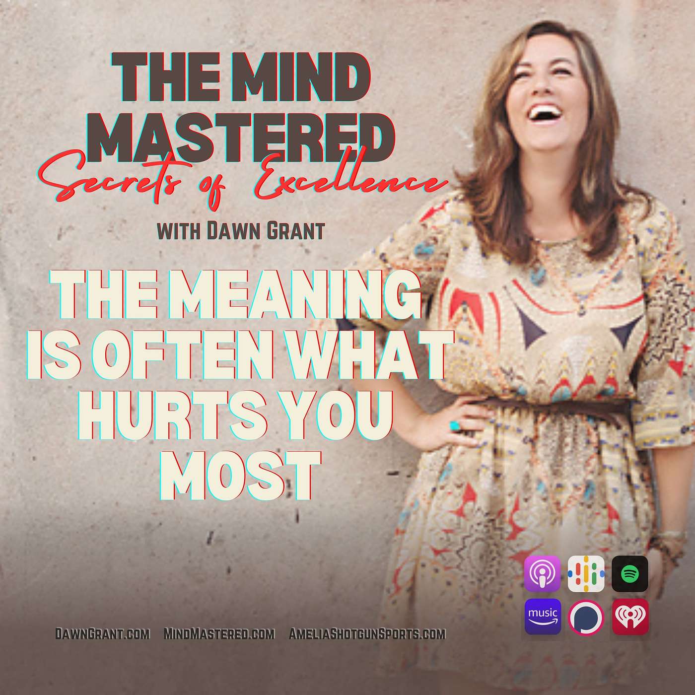 The Meaning Is Often What Hurts You Most episode artwork