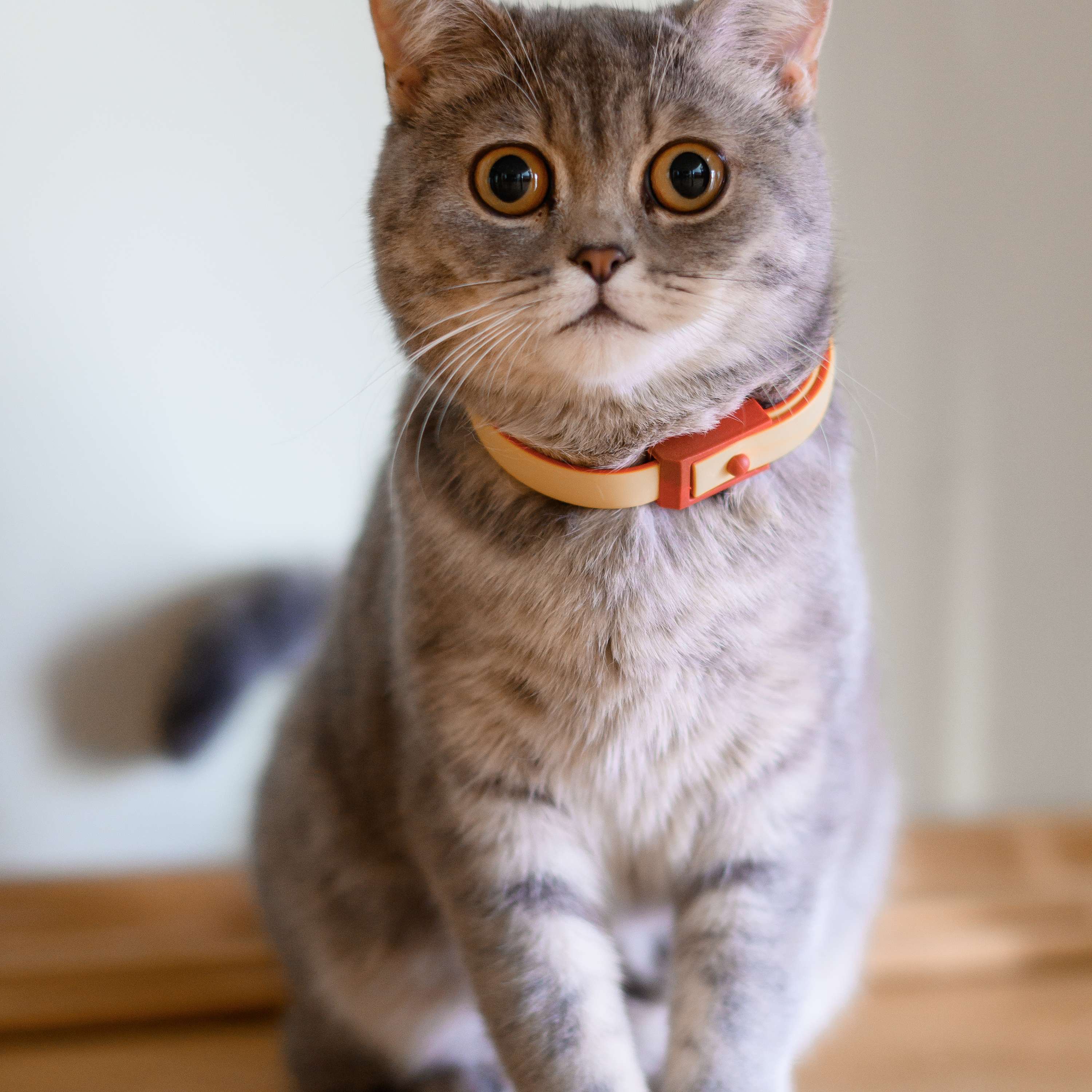 John' Podcast cover art