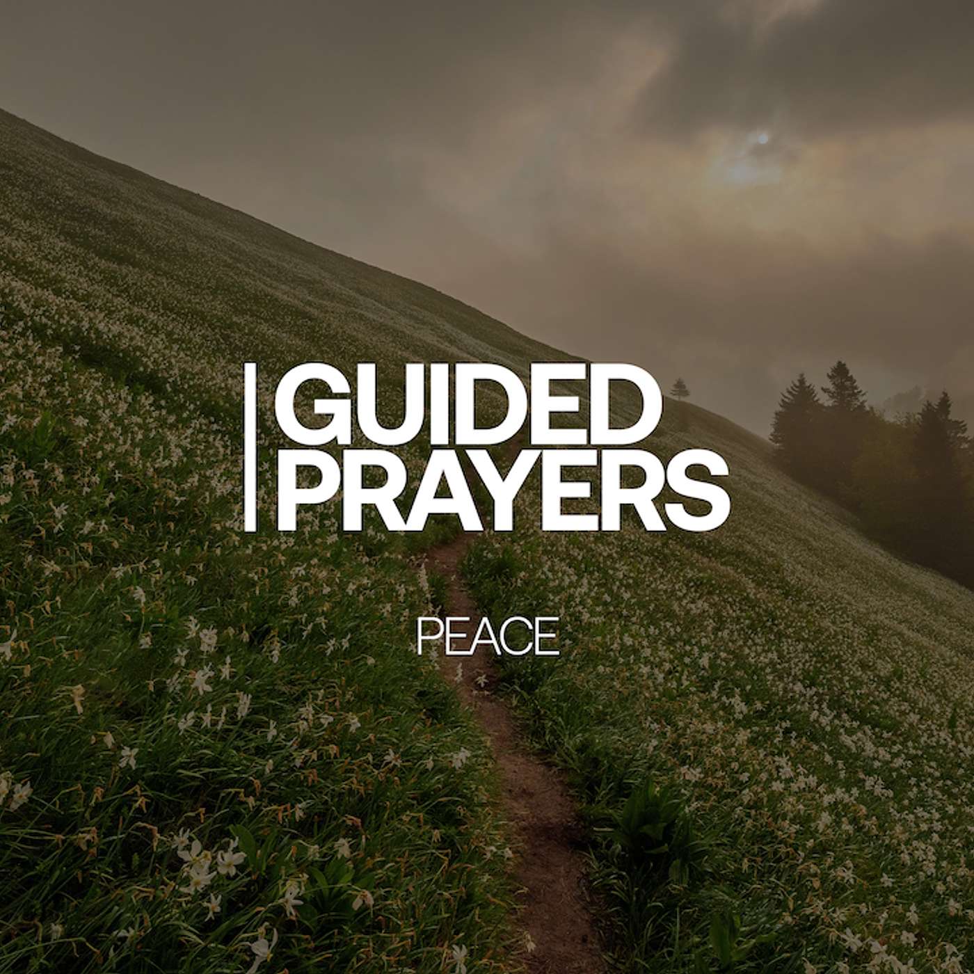 He Protects Your Peace | Guided Prayers episode artwork