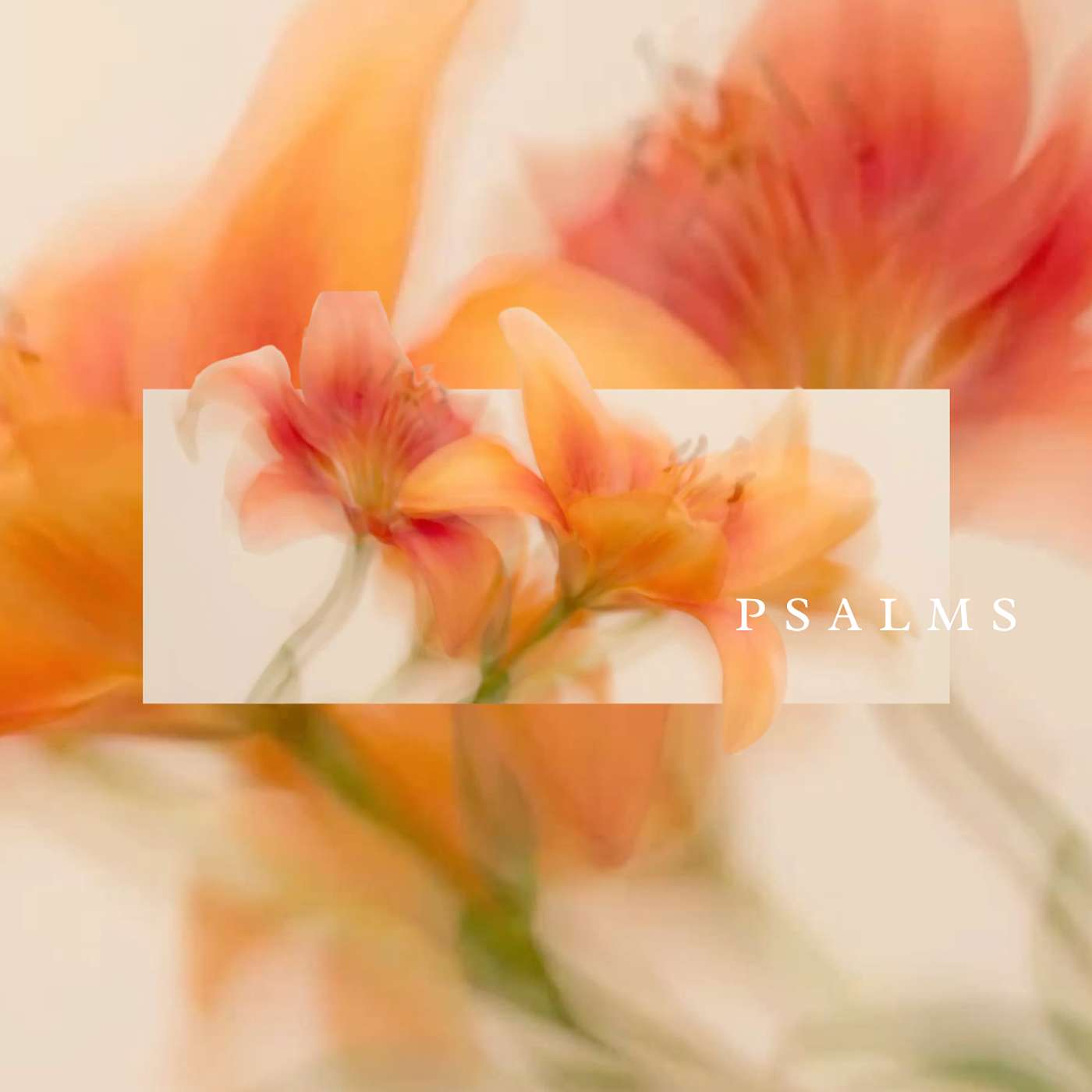 Psalm 40 | For When I Sin episode artwork