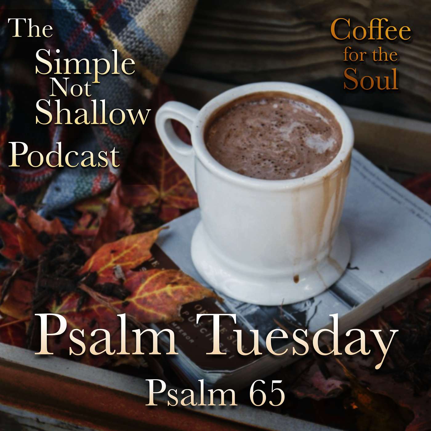 The Simple Not Shallow Podcast