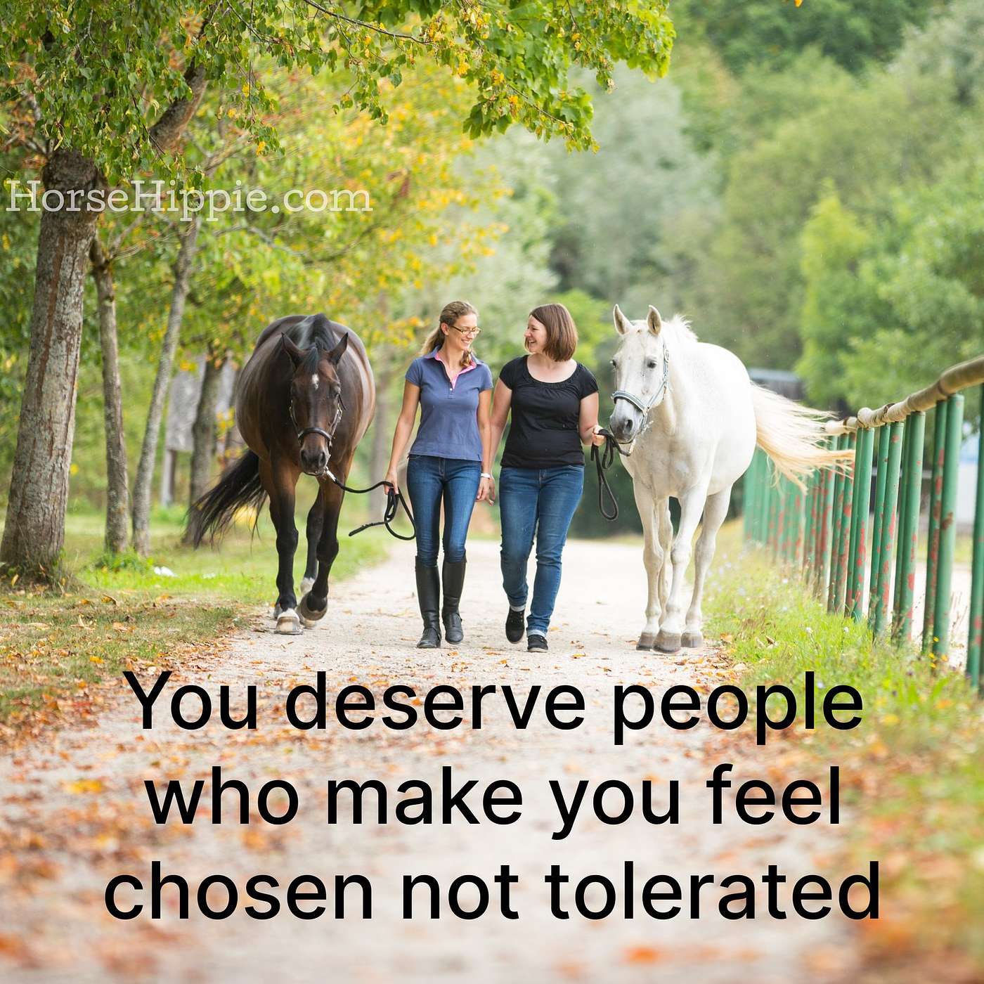Chosen Not Tolerated