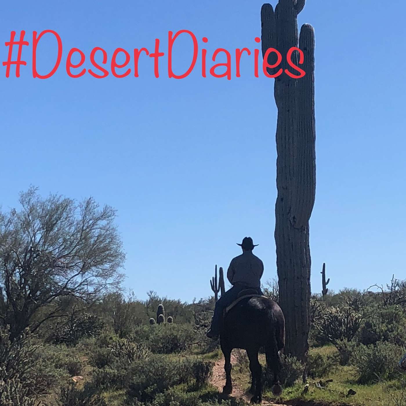 Week forty-three: Wild horses, tiny birds and big dramas