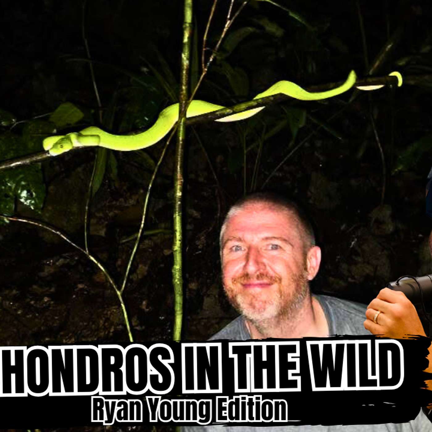 Finding Chondros In The Wild Ryan Young Edition | All In The Tree Tuesday Live