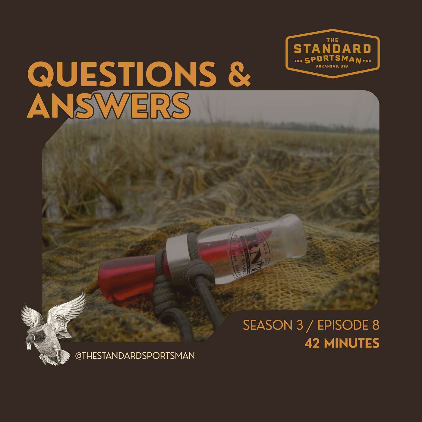 Questions & Answers episode artwork