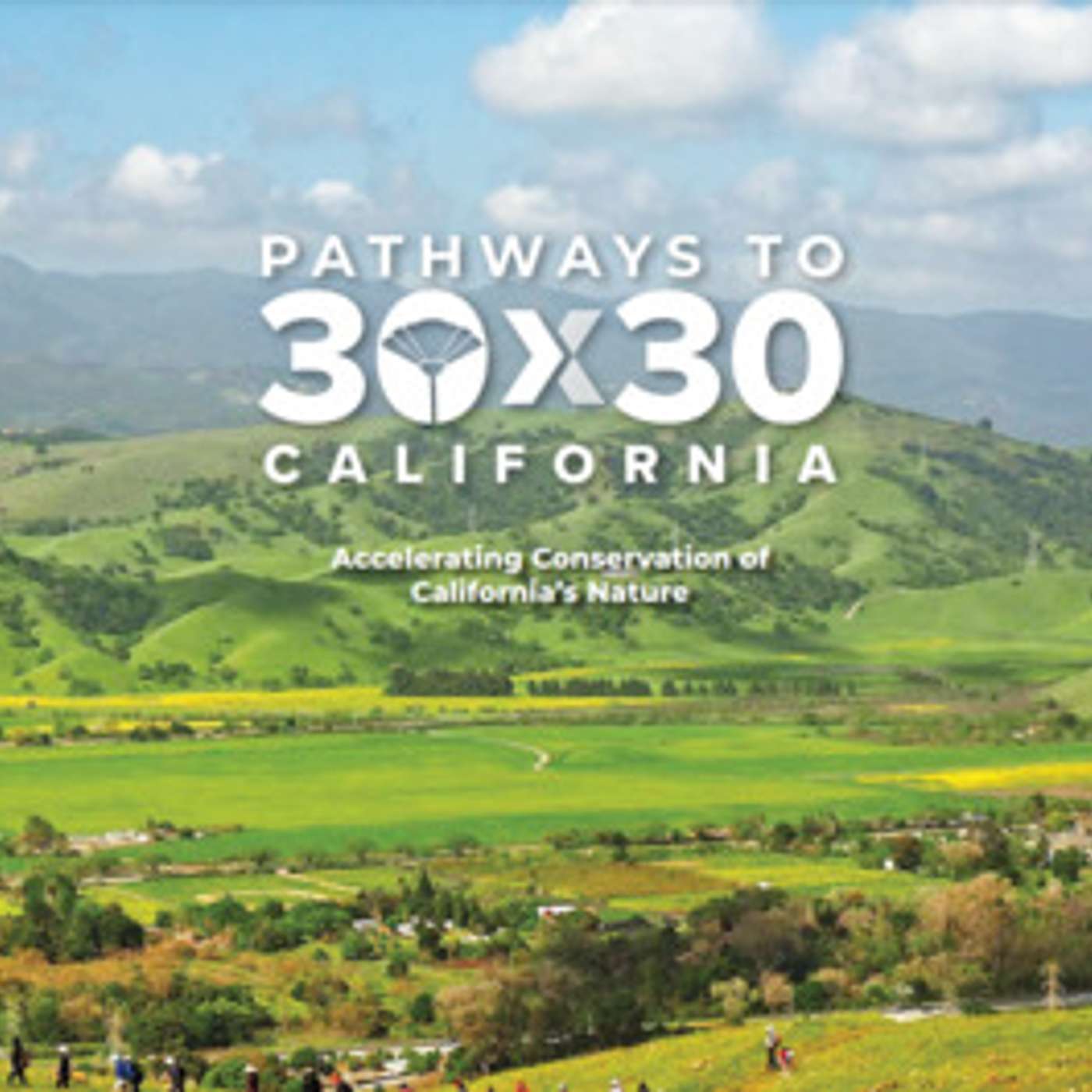 California Is On The World Stage Saving The Earth's Biodiversity