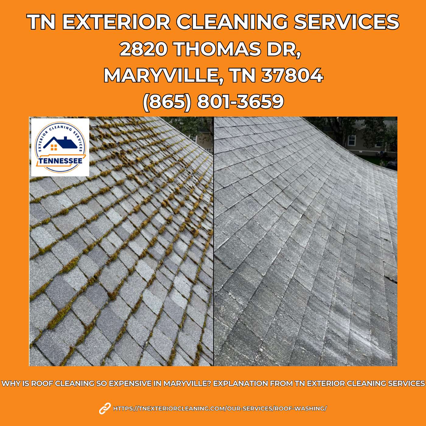Why Is Roof Cleaning So Expensive in Maryville? Explanation From TN Exterior Cleaning Services episode artwork
