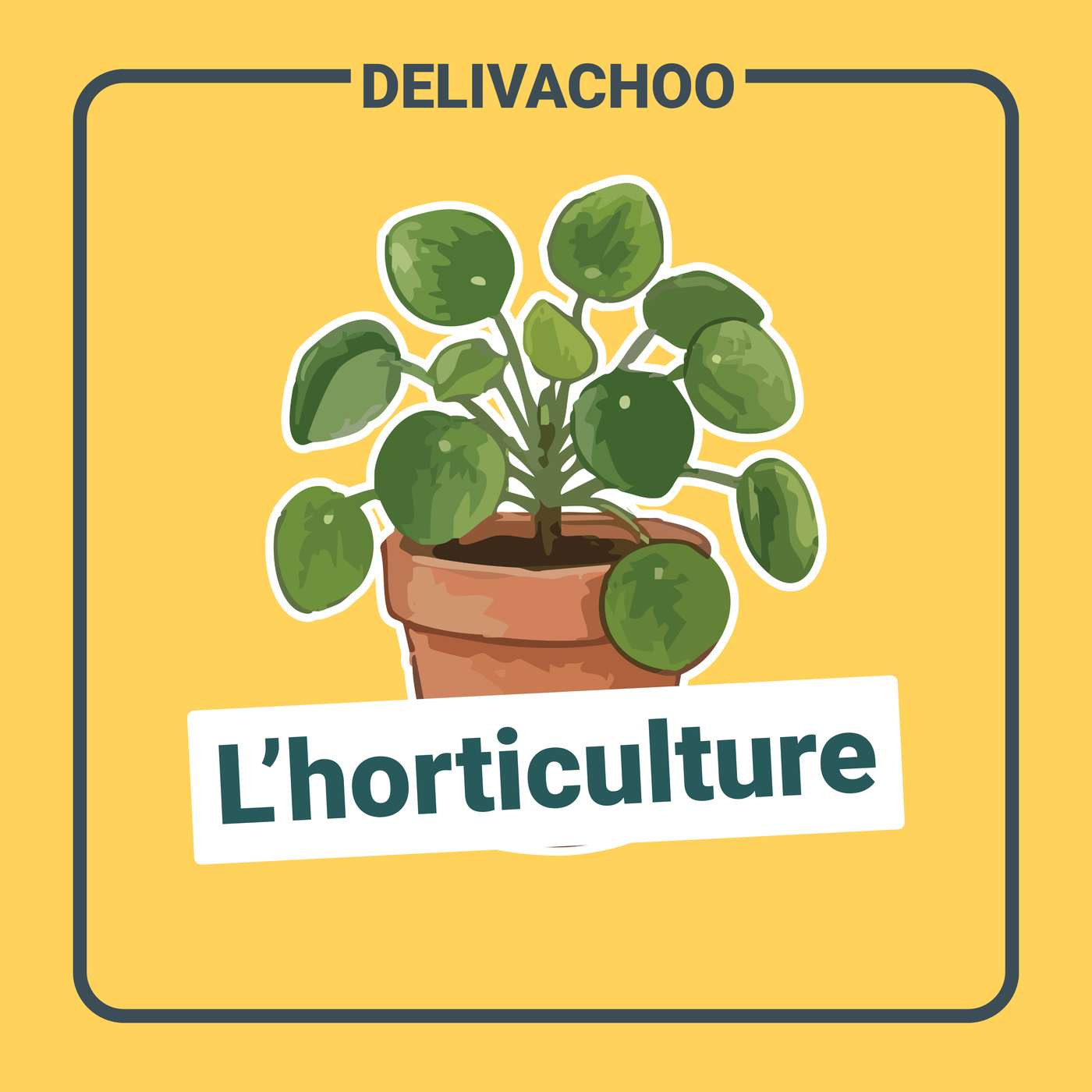 [Delivachoo] - L'horticulture