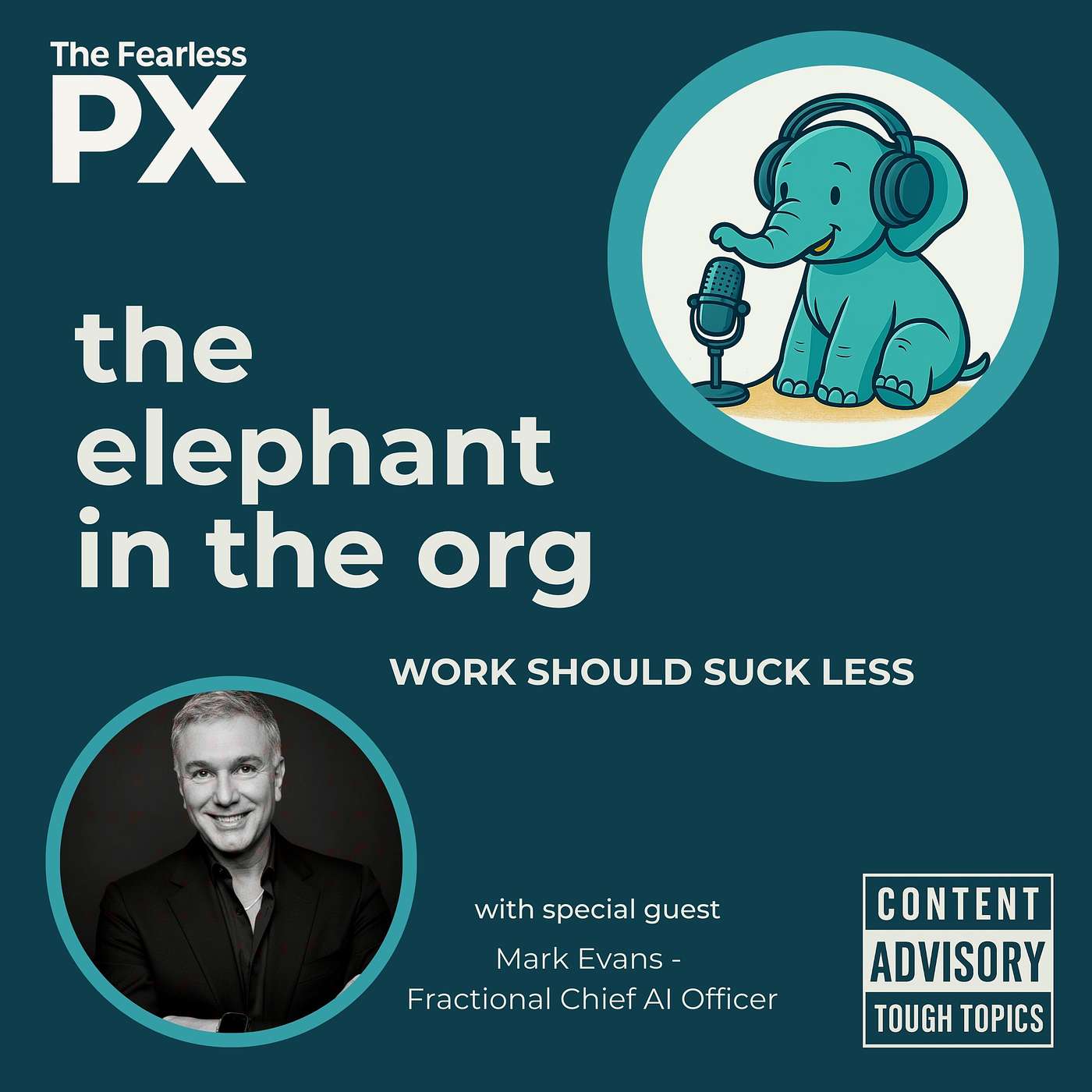 The Elephant in the Org