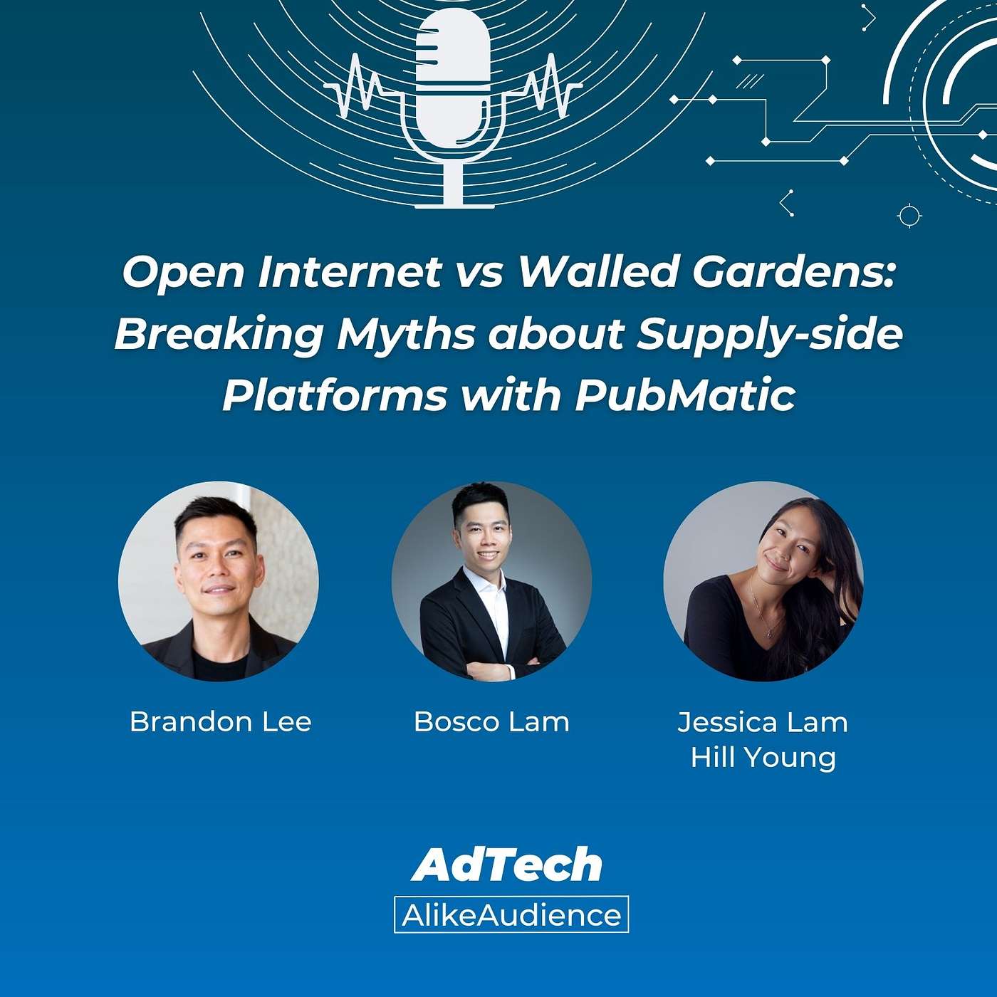 AdTech with AlikeAudience