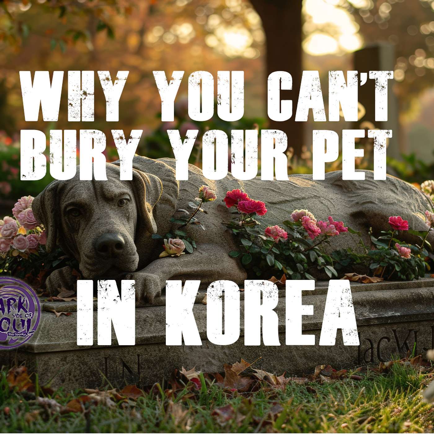 Why You Can't Bury Your Pet in Korea Why You Can't Bury Your Pet in Korea