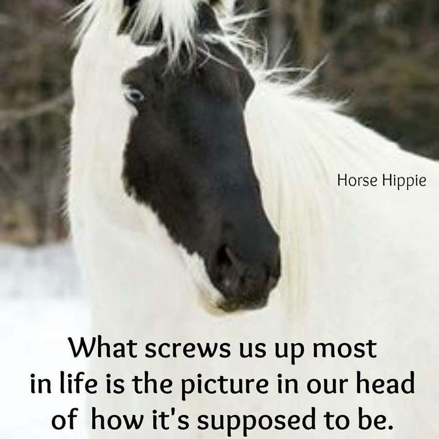 It is What it is