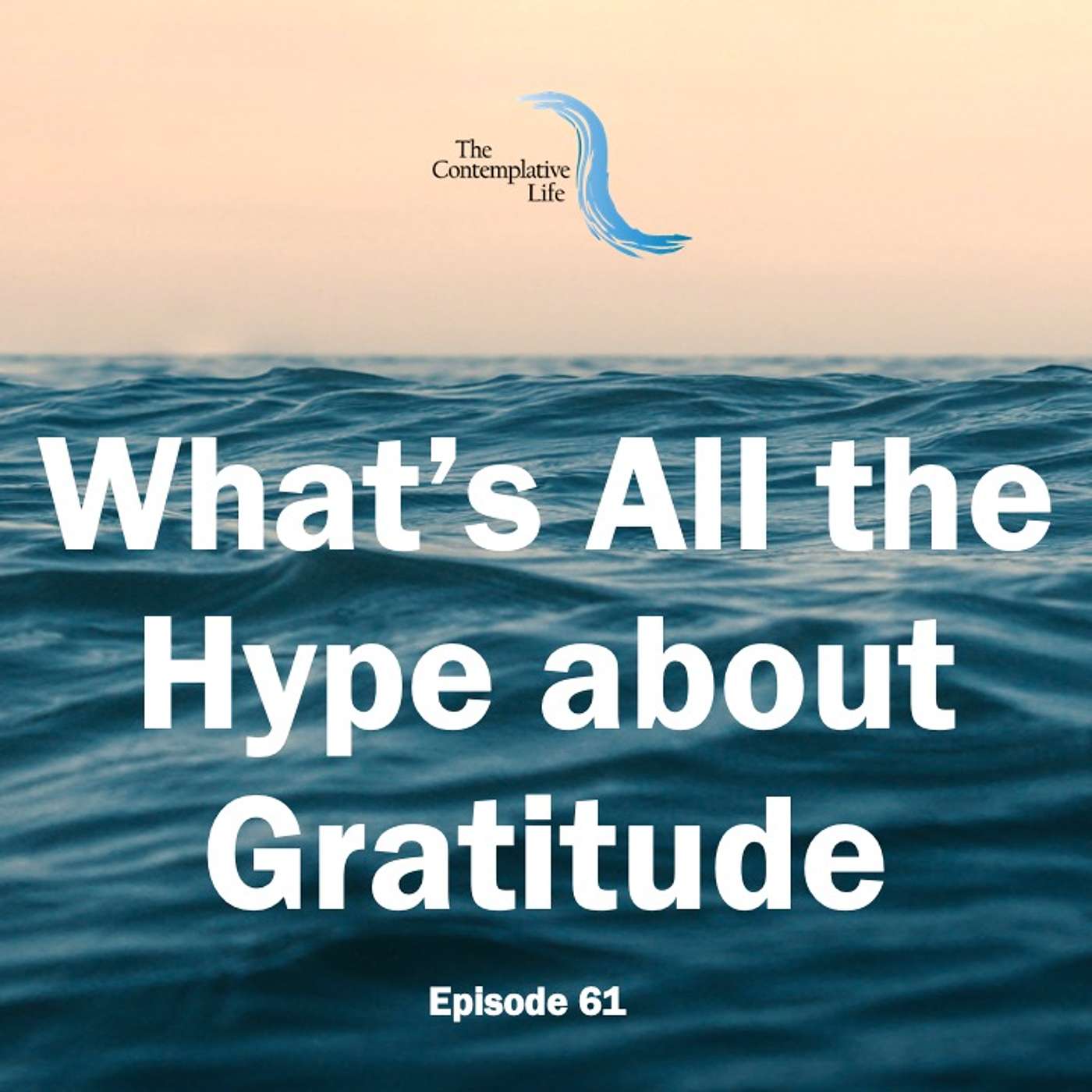 Ep 61 What’s All the Hype about Gratitude
