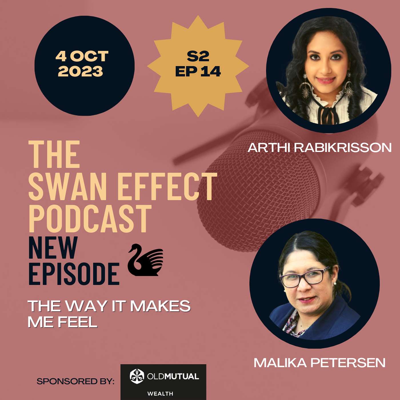 The Swan Effect - Creating and Sustaining Your Financial Wellbeing