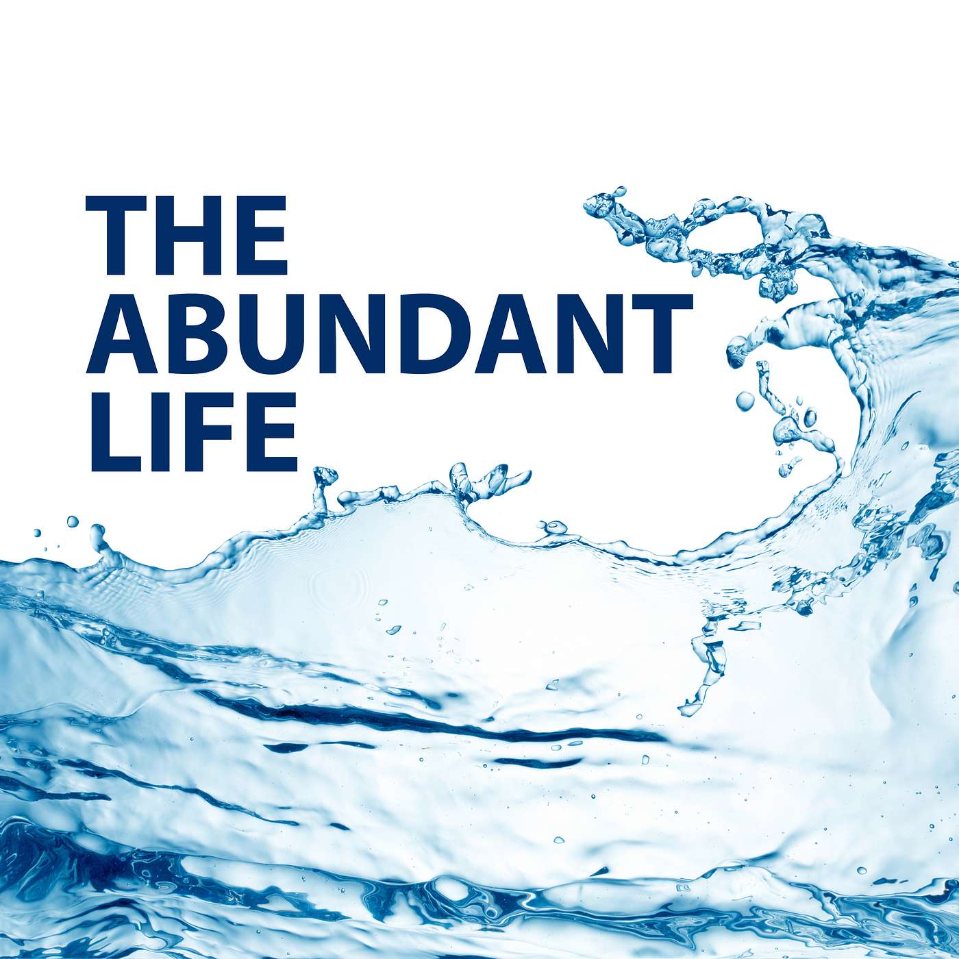 The Abundant Life #1: Life's Begining episode artwork