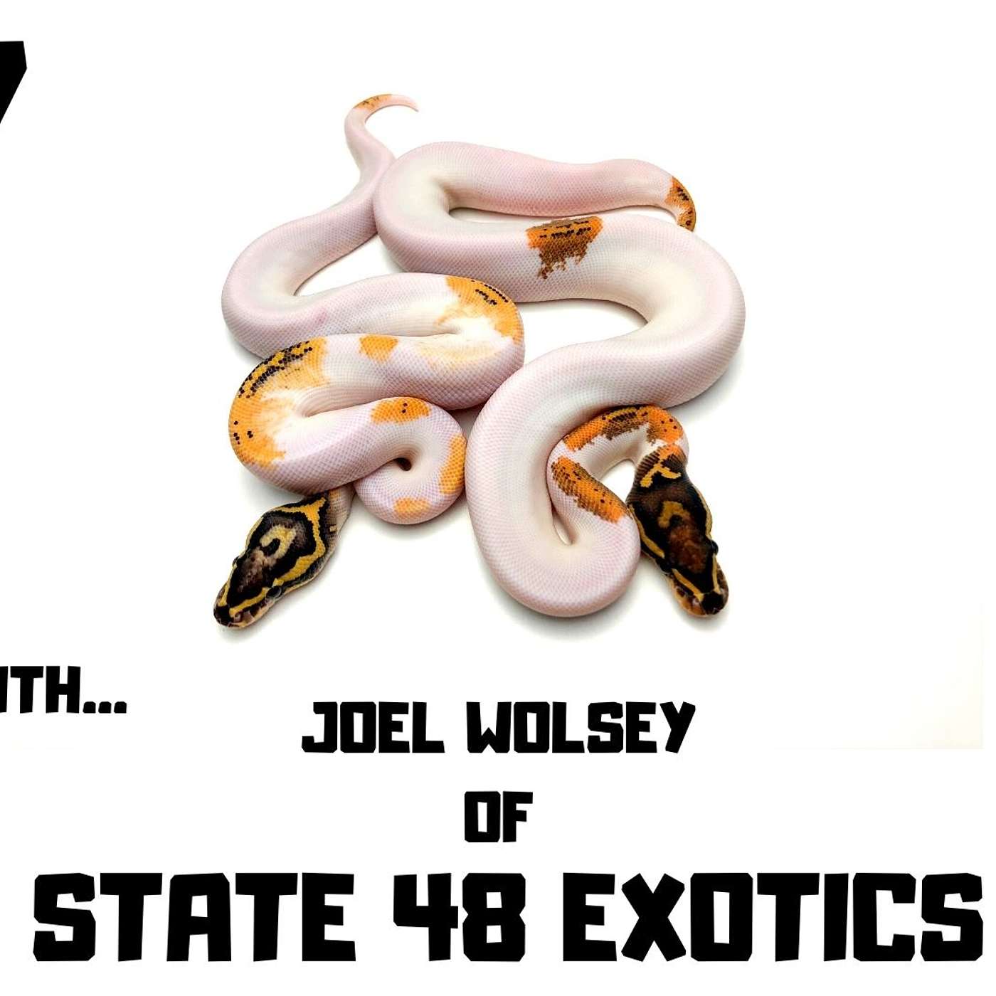 #27 JOEL WOLSEY OF STATE 48 EXOTICS | BALL PYTHON BREEDER | PYTHON REGIUS | TRAP TALK PODCAST
