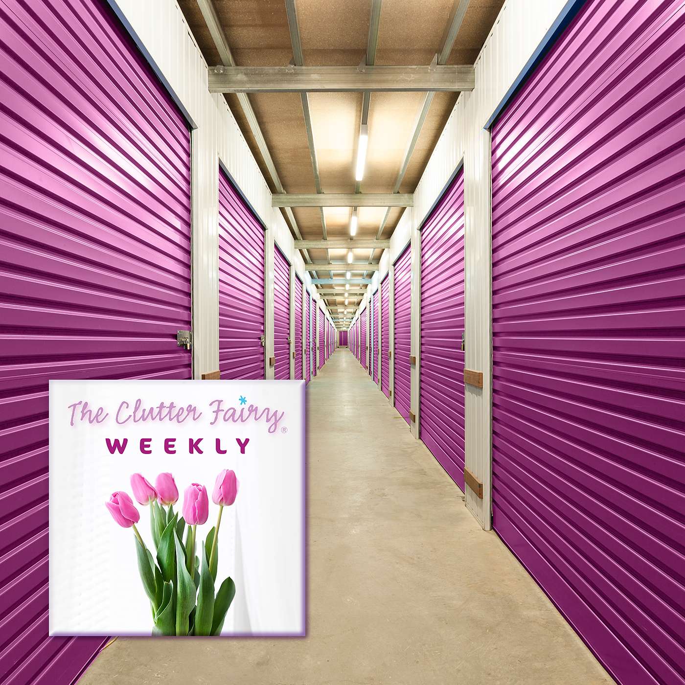 The Clutter Fairy Weekly