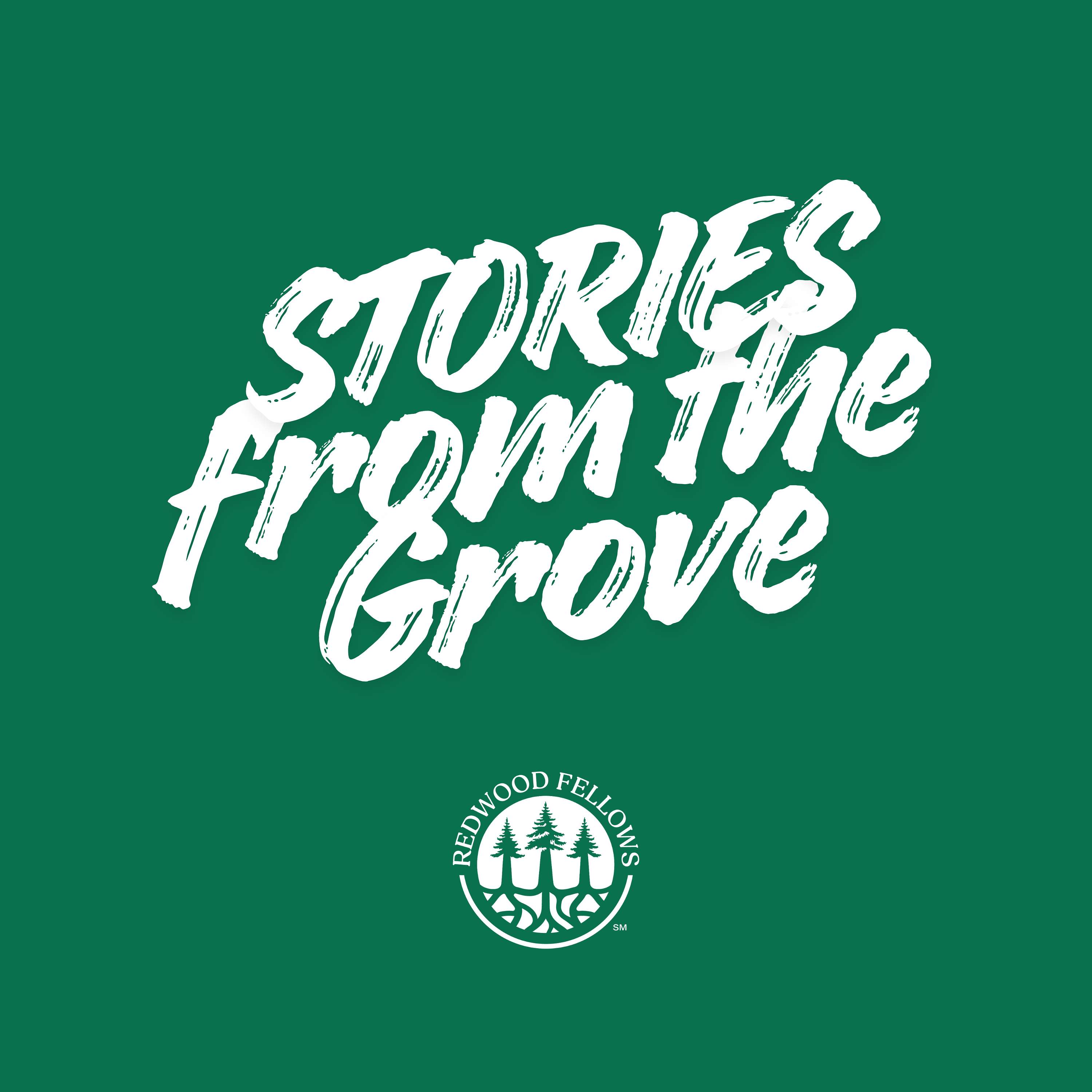 Redwood Fellows: Stories from the Grove