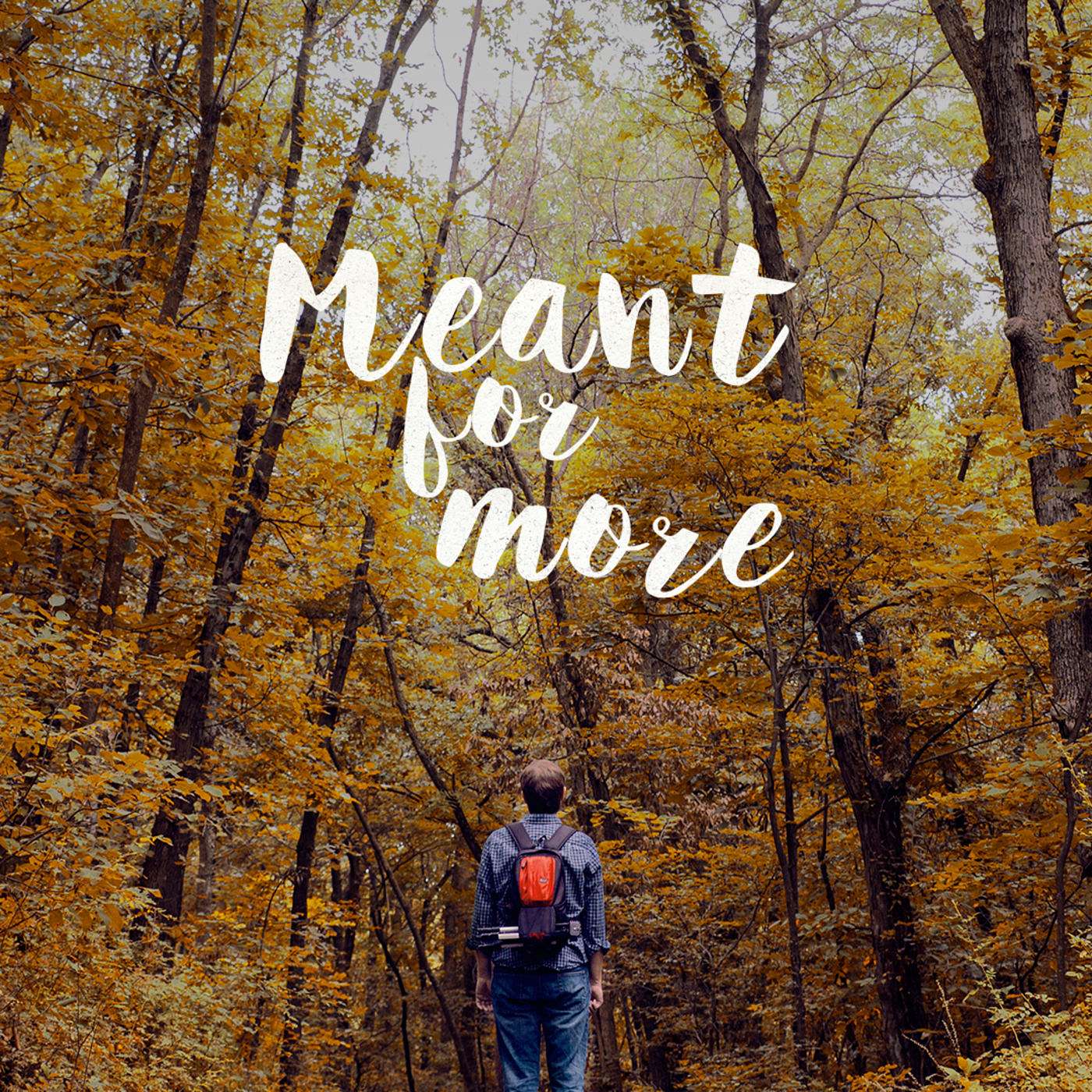 Meant for More: How do I reflect God in the everyday stuff of life?