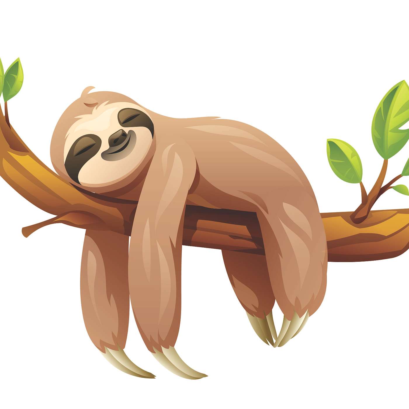 Appreciating Slothfulness