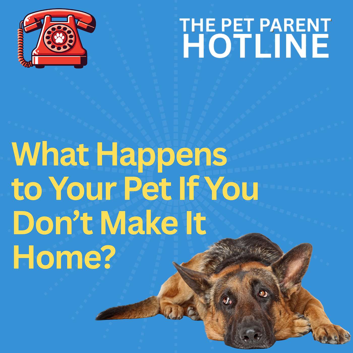 What Happens to Your Pet If You Don’t Make It Home?