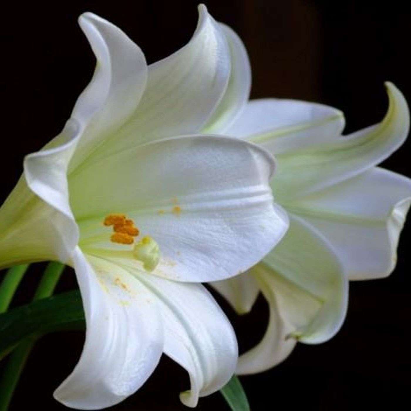 UN CURSO DE MILAGROS Y AMOR con Claudio