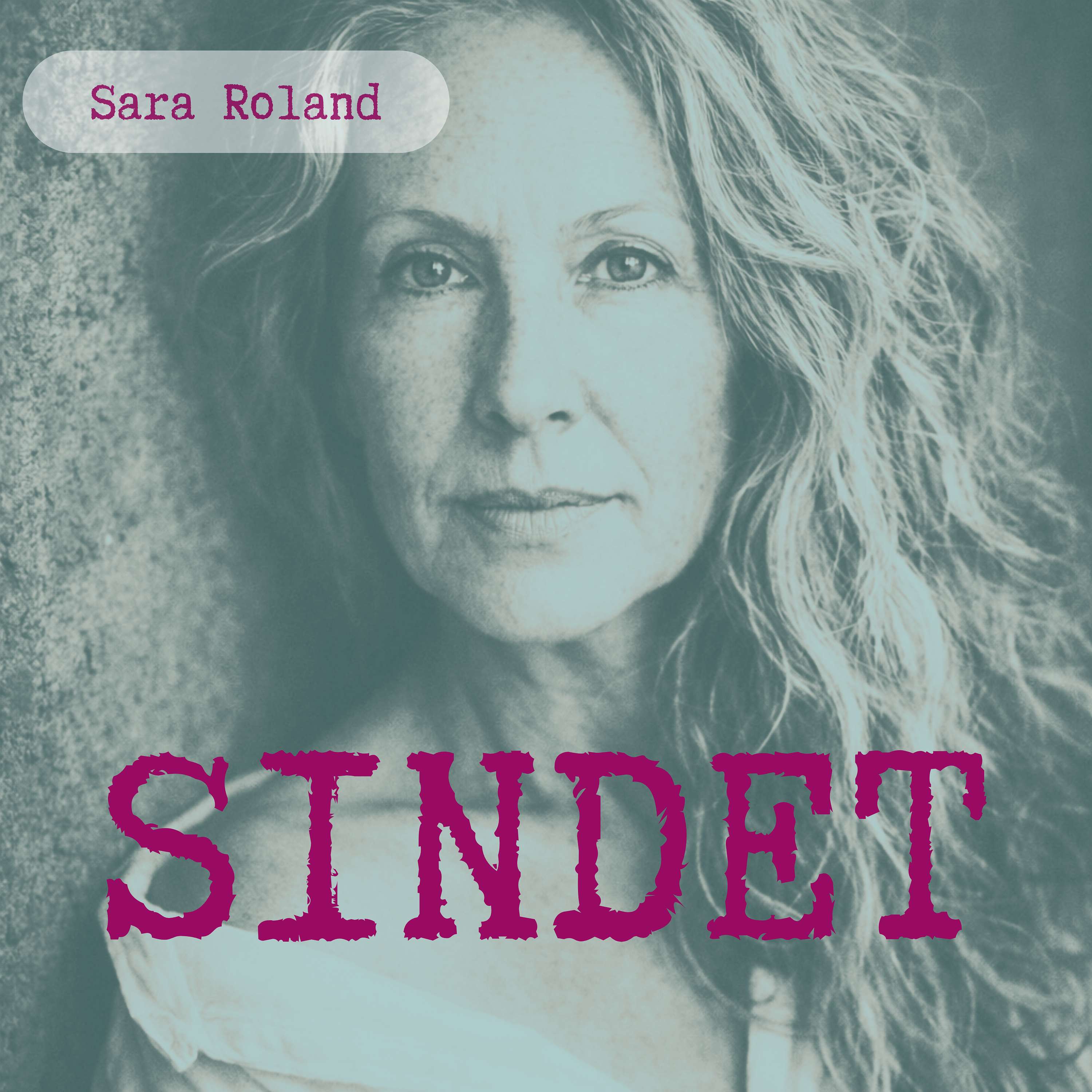 SINDET af Sara Roland