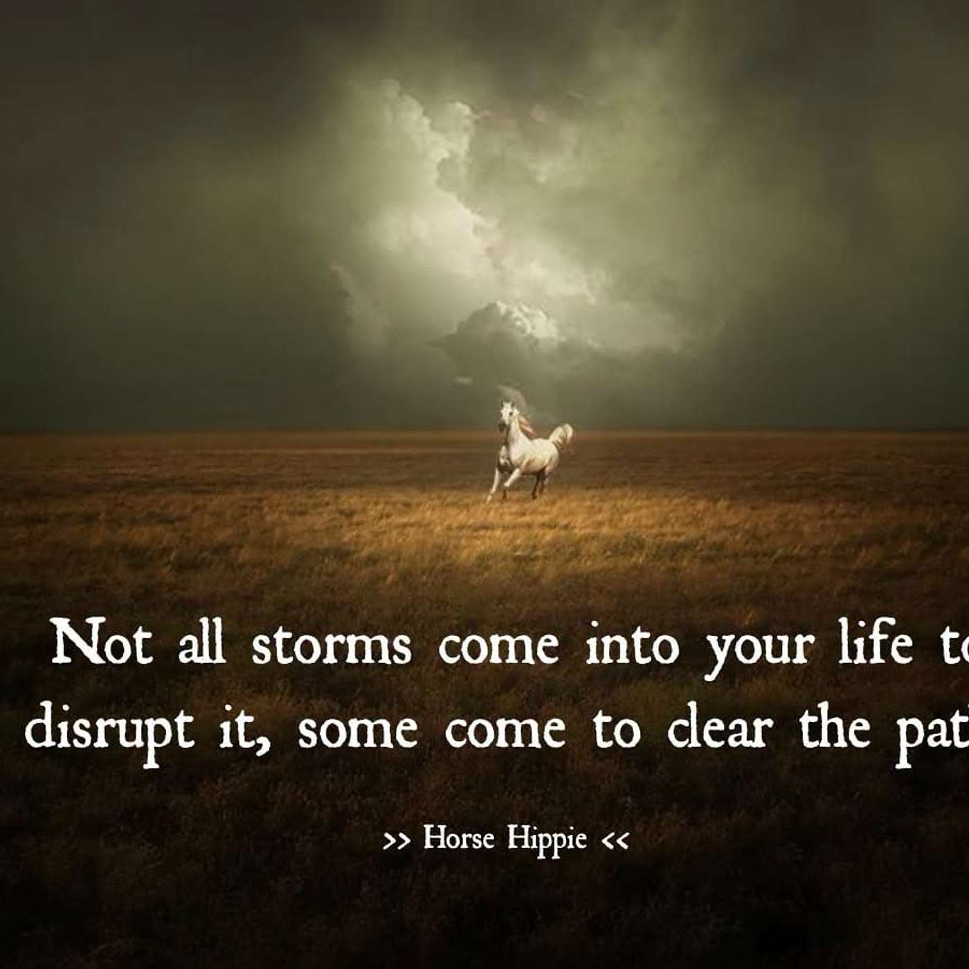 The Purpose of Storms in Your Life