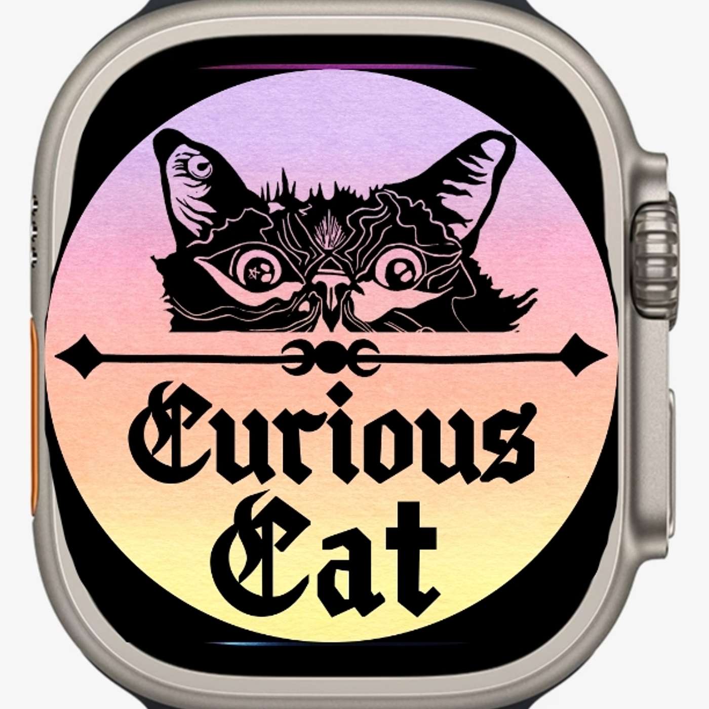 Curious Cat