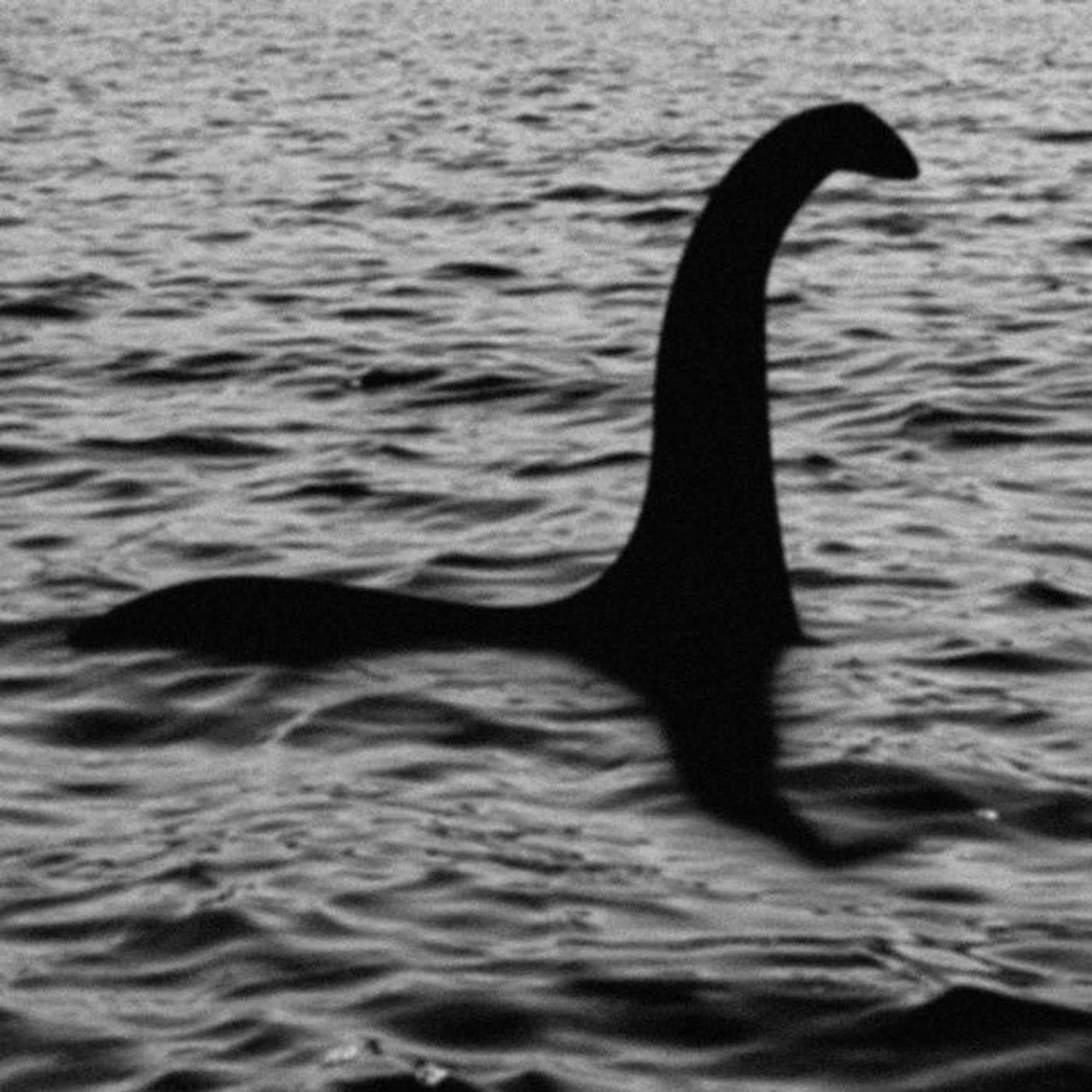 Colleen's Search for the Loch Ness Monster