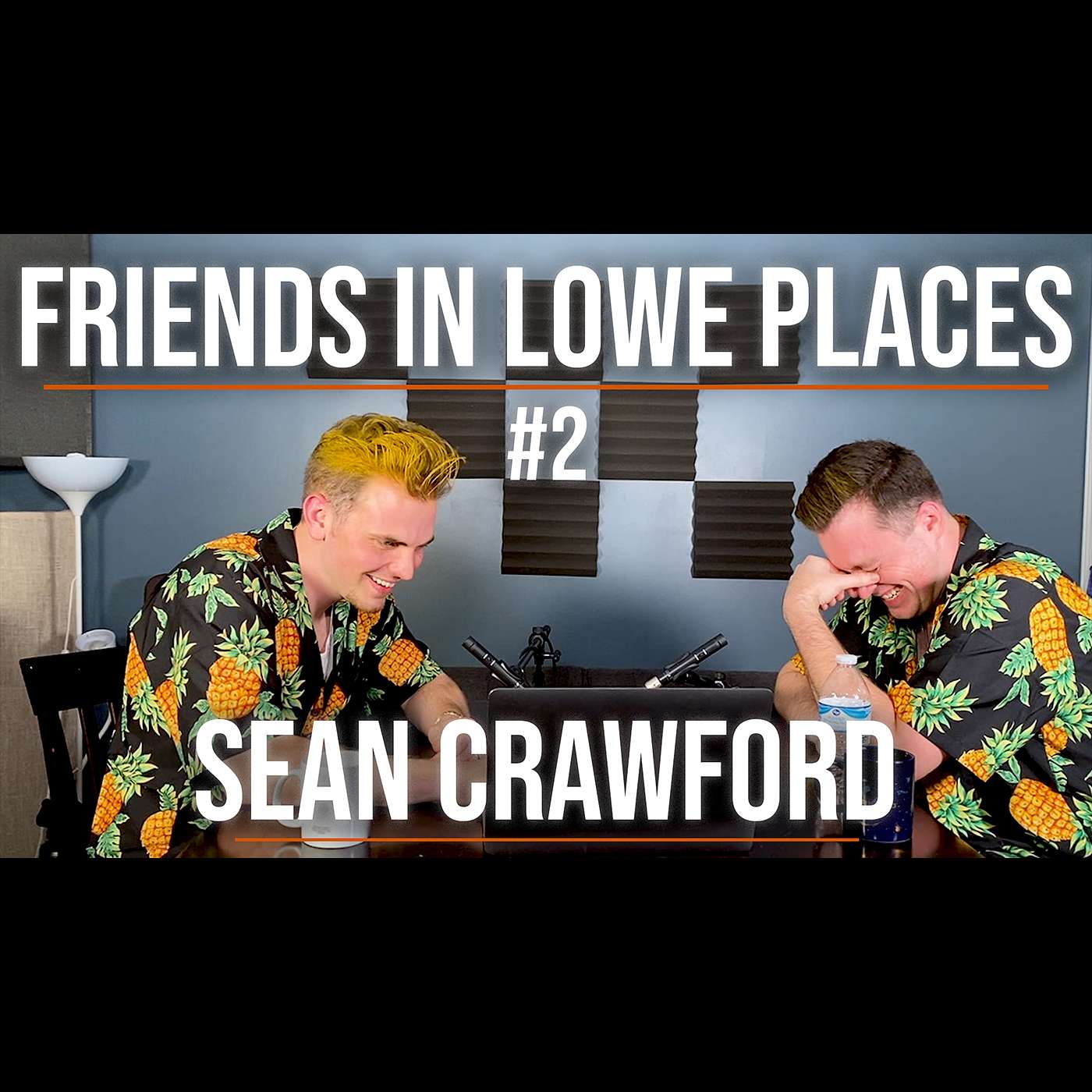 Friends in Lowe Places