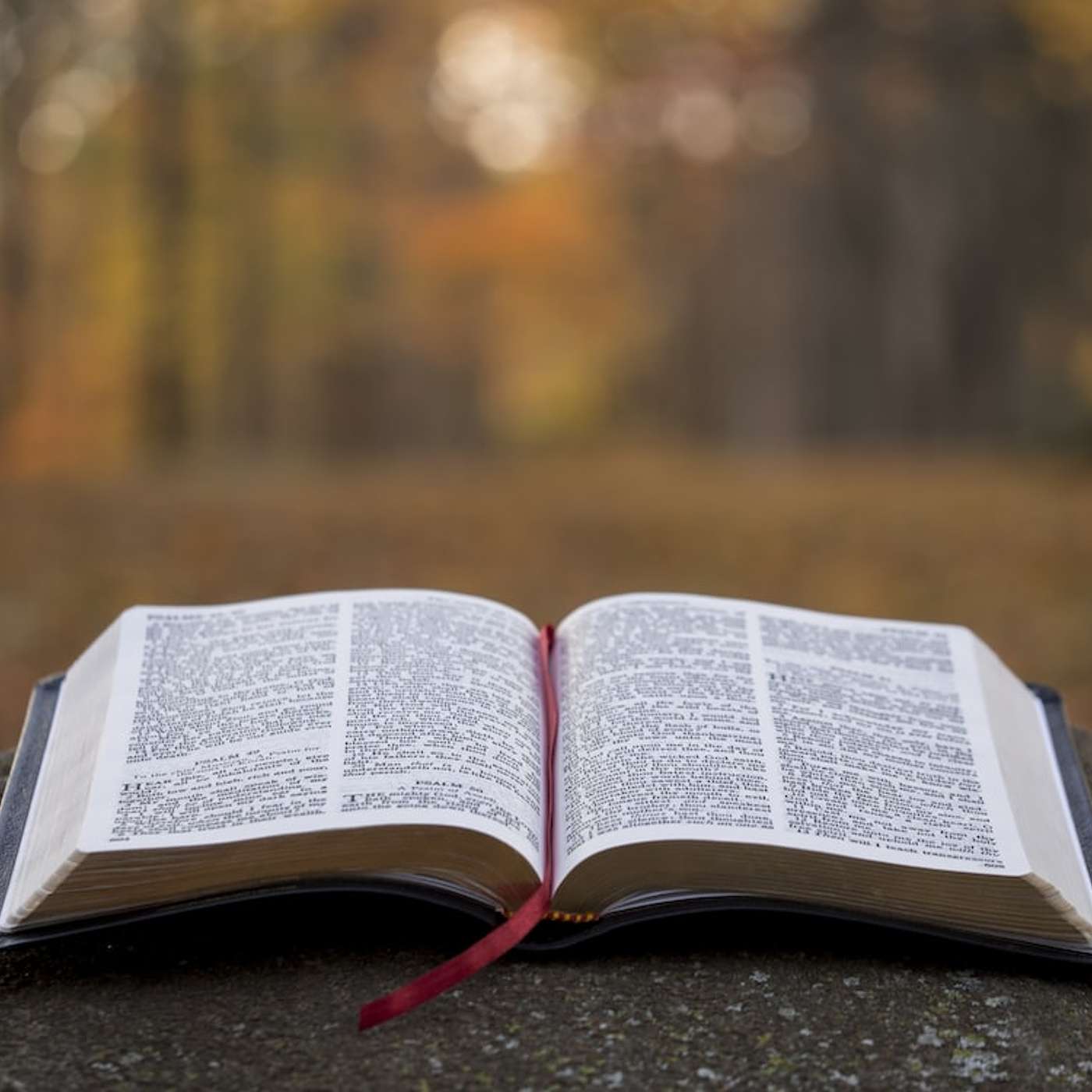 Delighting In The Word Of God
