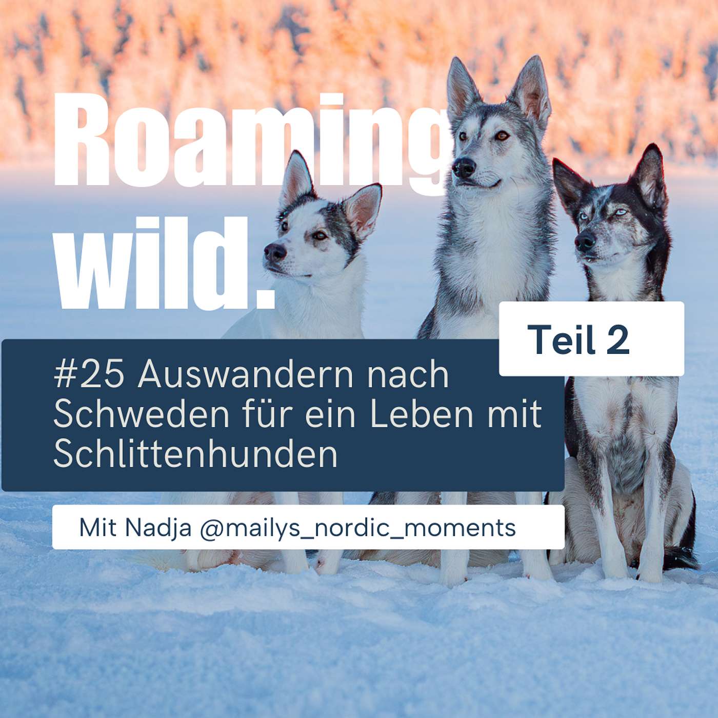 Roaming Wild - Outdoorerlebnisse und Fotografie mit Hund